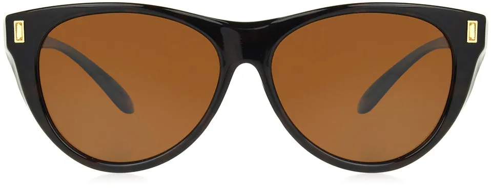 Kitten sold by Foster Grant