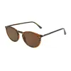 McKay SunReaders® sold by Foster Grant