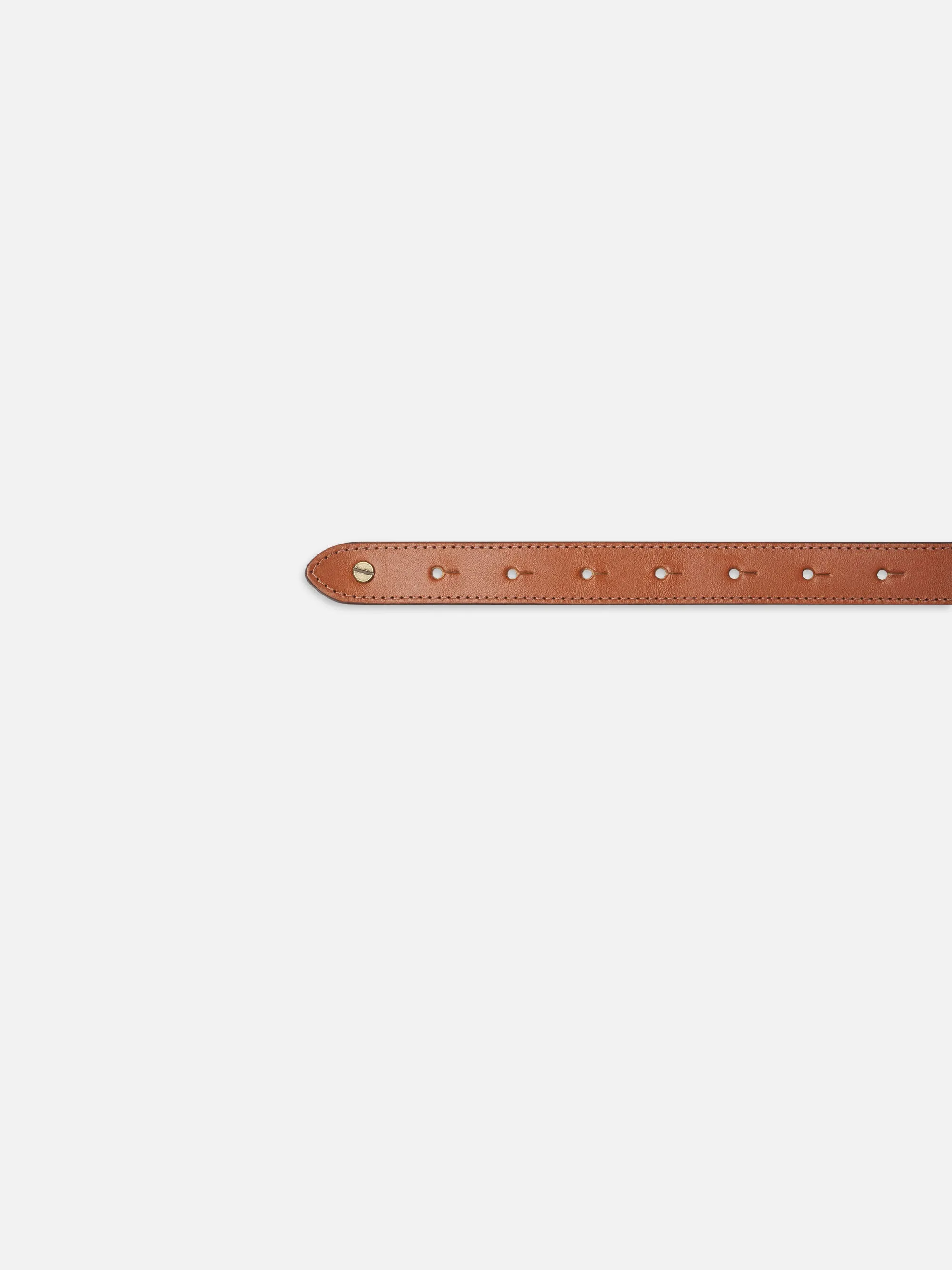 Equestrian Belt -- Cognac sold by Frame Denim product image thumbnail 3