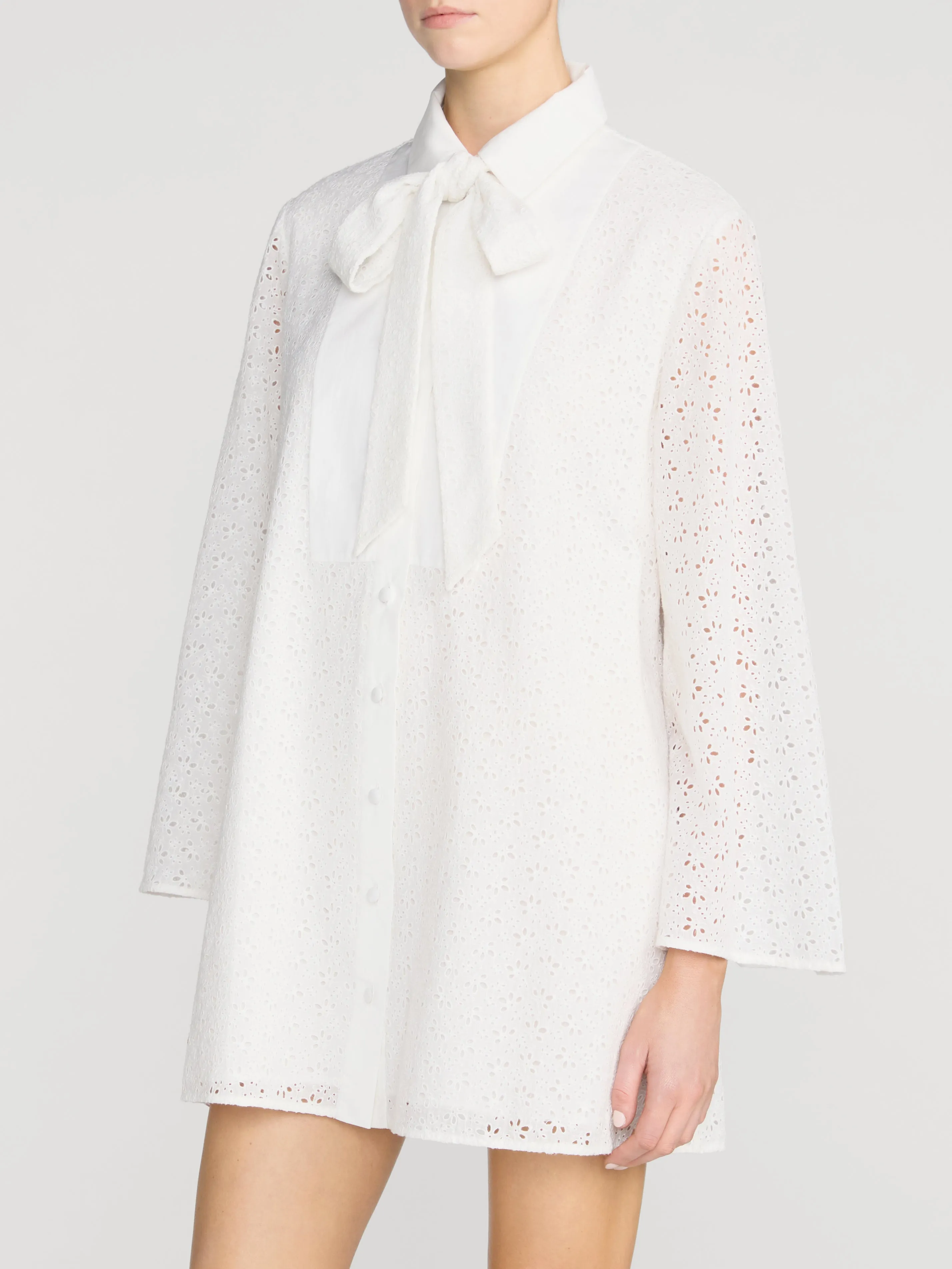 The Eyelet Tuxedo Dress -- White sold by Frame Denim product image thumbnail 4