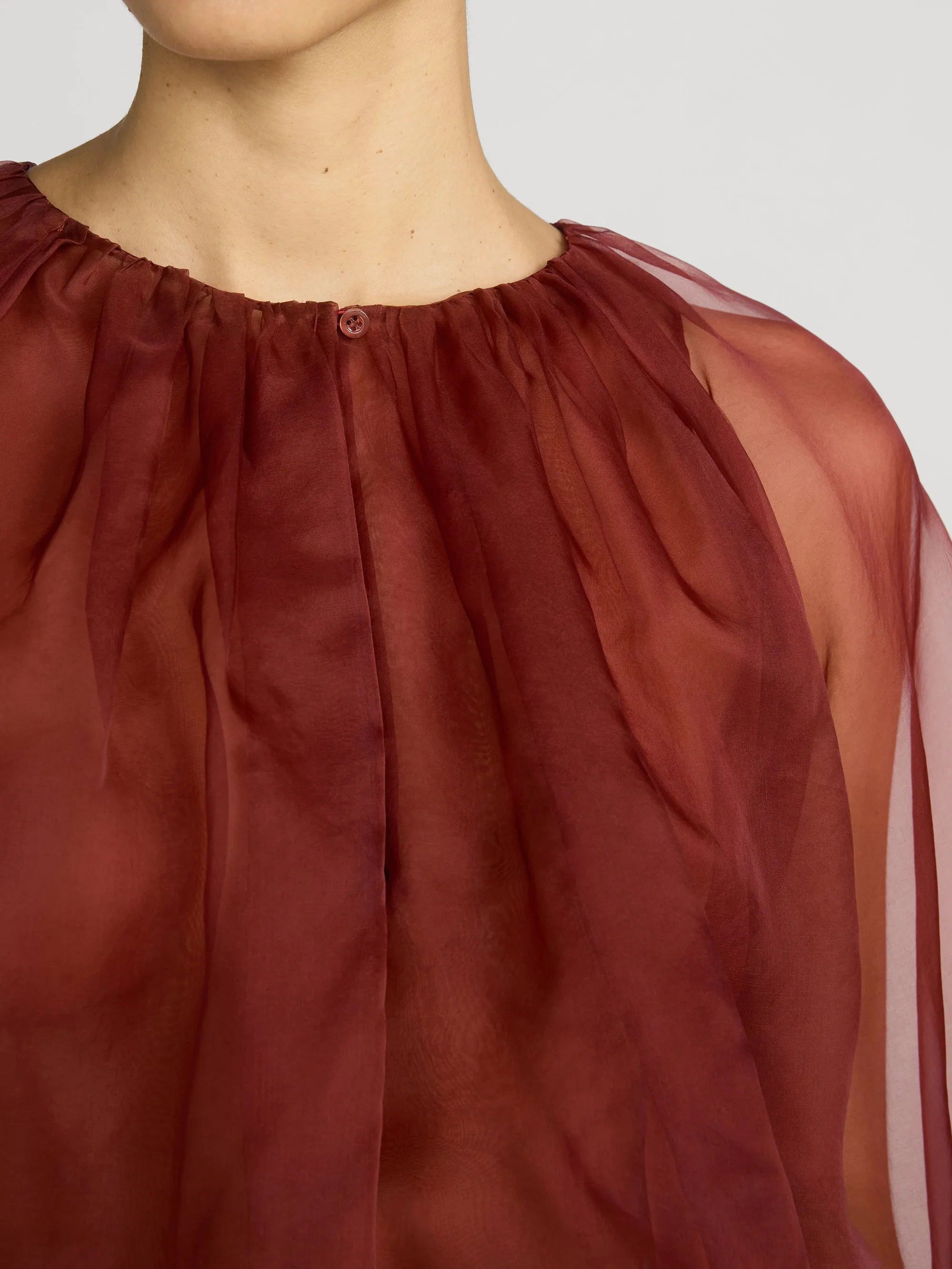 The Sheer Balloon Blouse -- Paprika sold by Frame Denim product image thumbnail 5