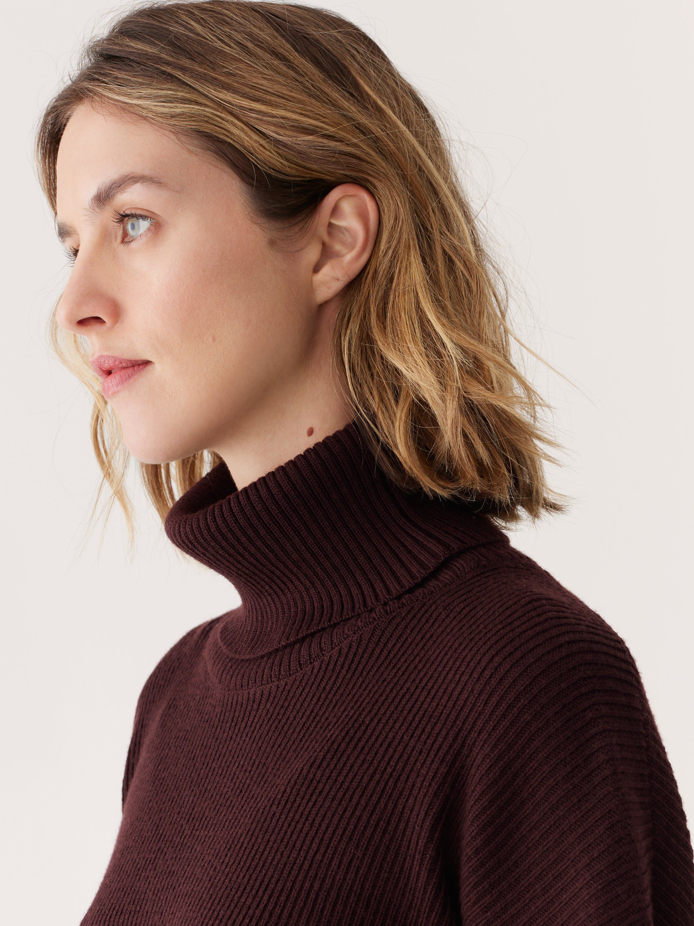 The Merino Turtleneck Sweater in Dark Brown sold by Frank & Oak product image thumbnail 4