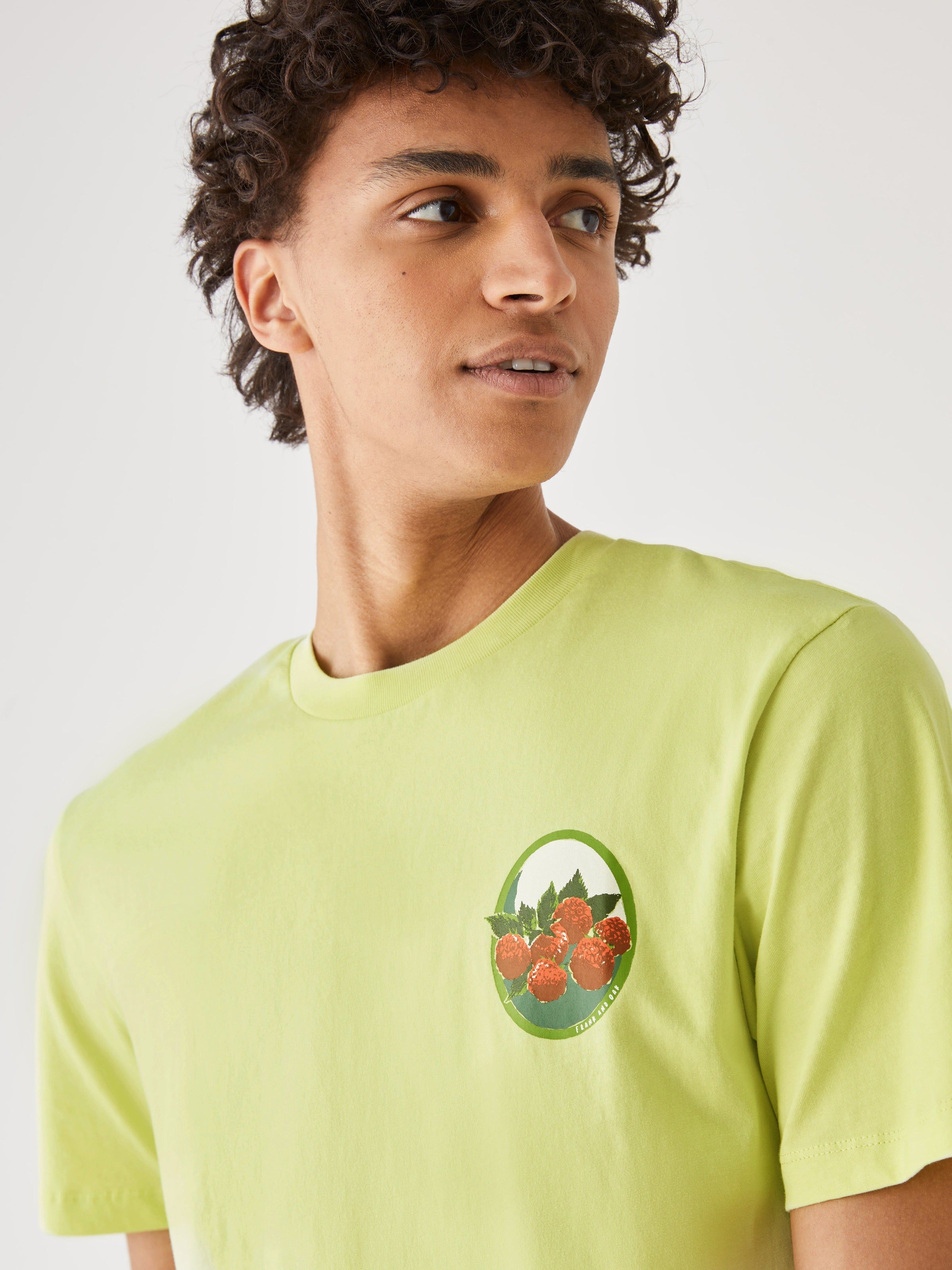 The Relaxed Fit Graphic T-Shirt in Green sold by Frank & Oak product image thumbnail 4