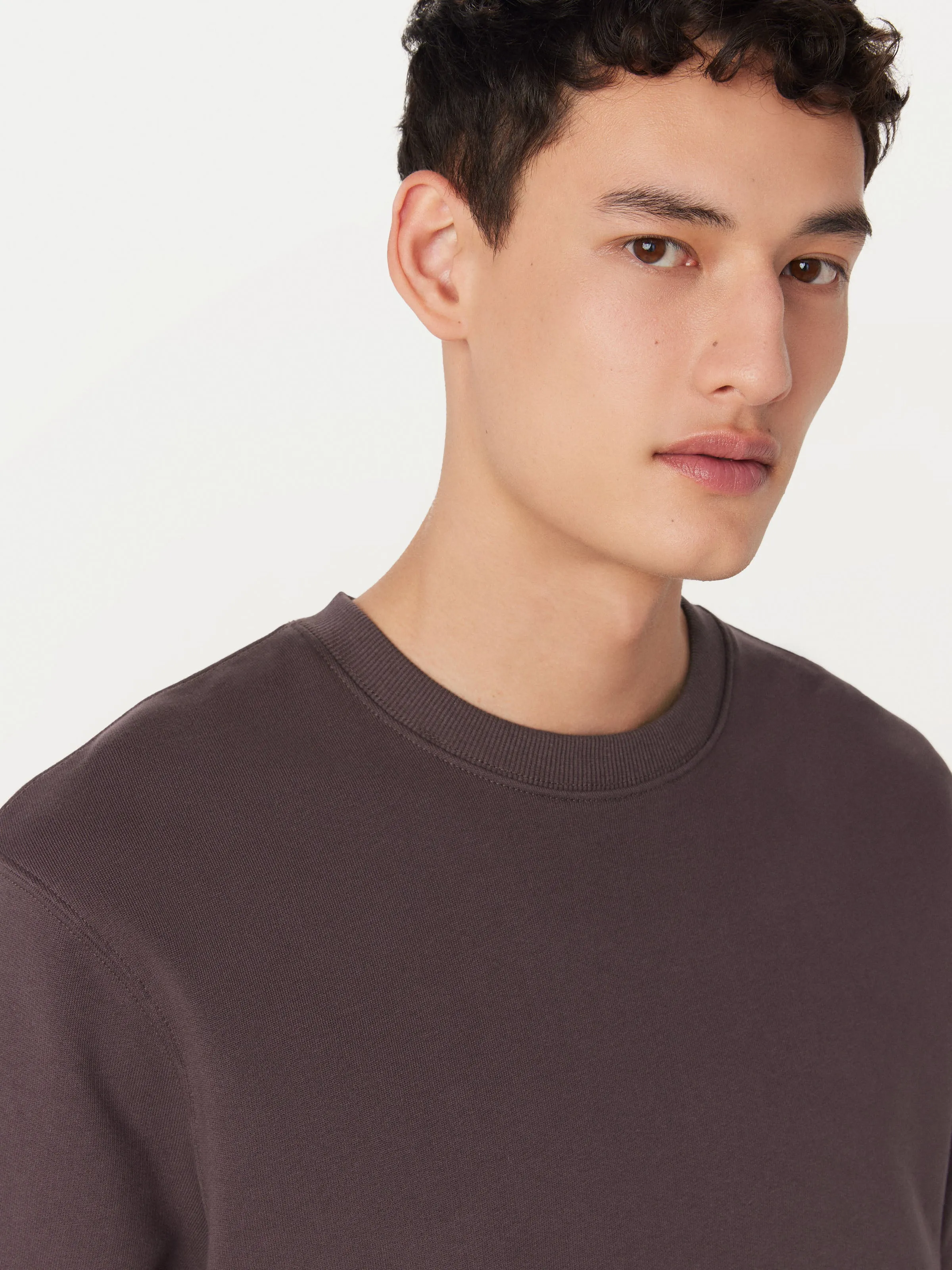 The French Terry T-Shirt in Raisin sold by Frank & Oak