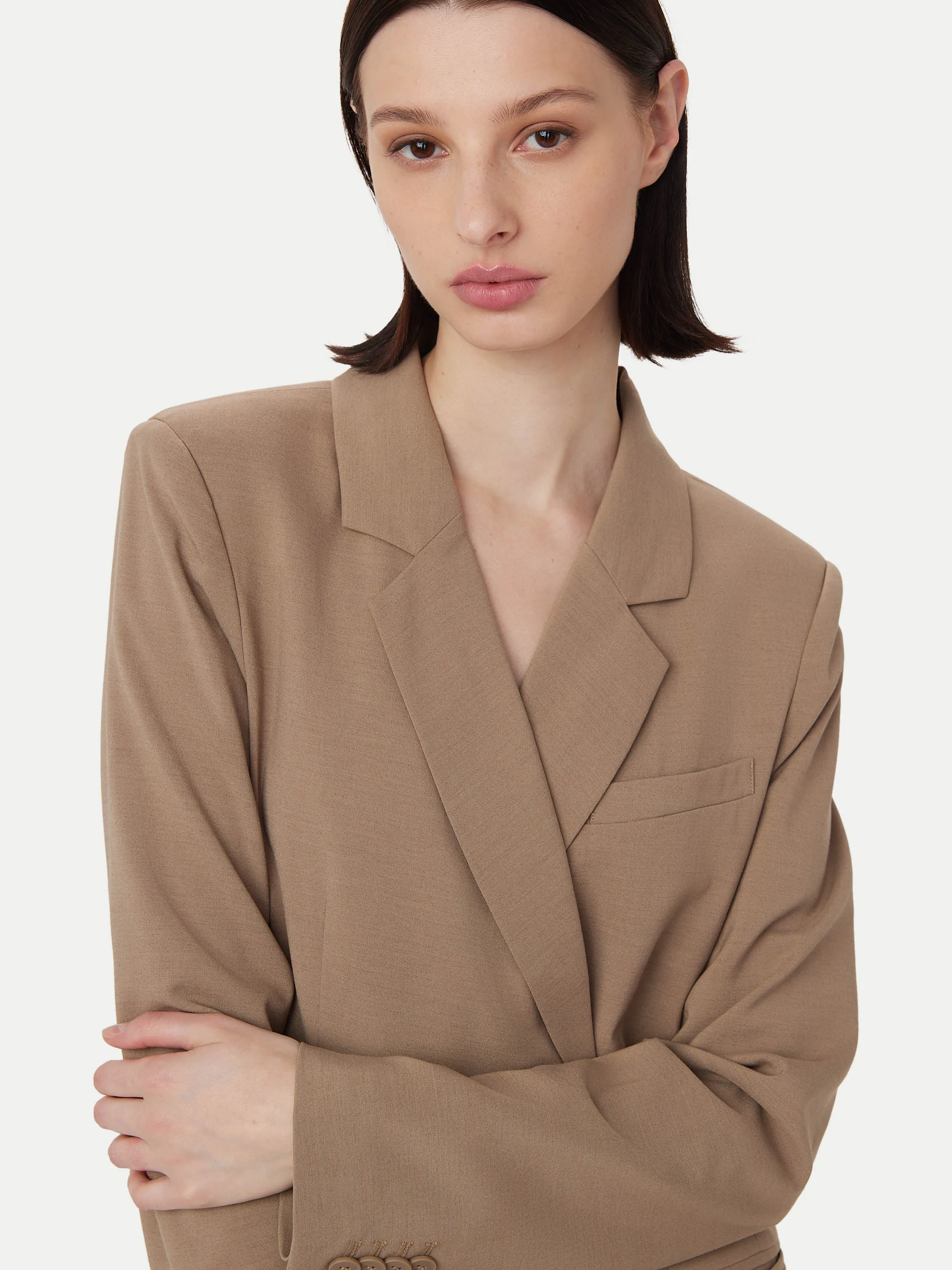 The Fitted Blazer Dress in Taupe sold by Frank & Oak product image thumbnail 3
