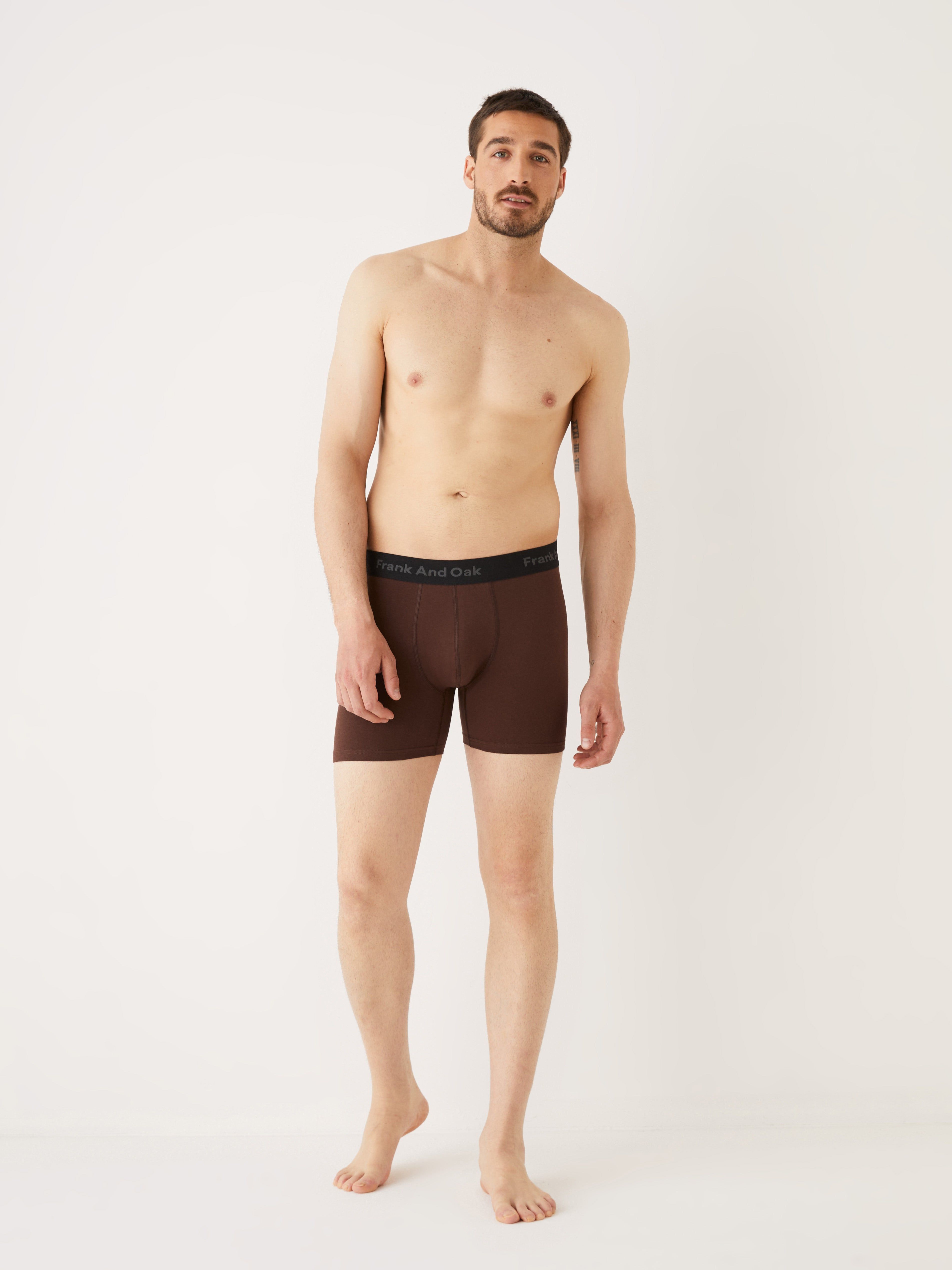 The Boxer Brief in Dark Coffee sold by Frank & Oak product image thumbnail 2