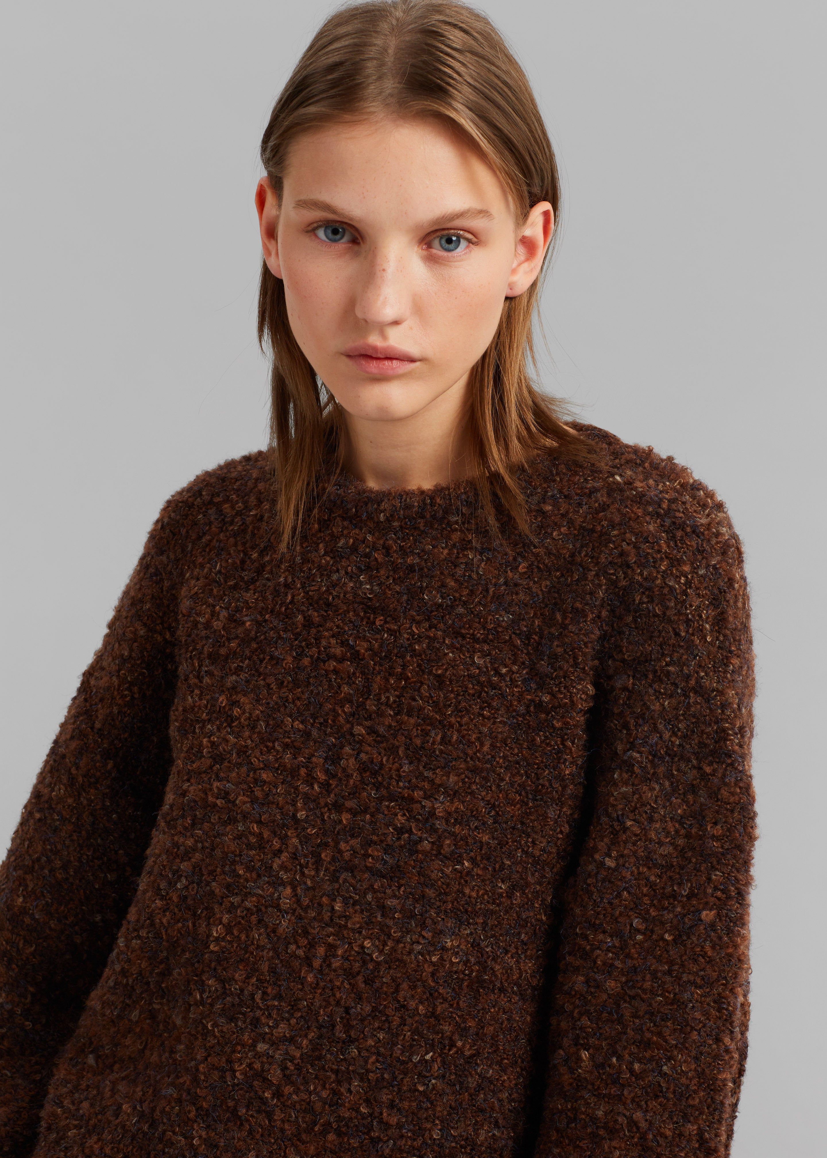 Van Boucle Sweater - Brown sold by Frankie Shop product image thumbnail 4