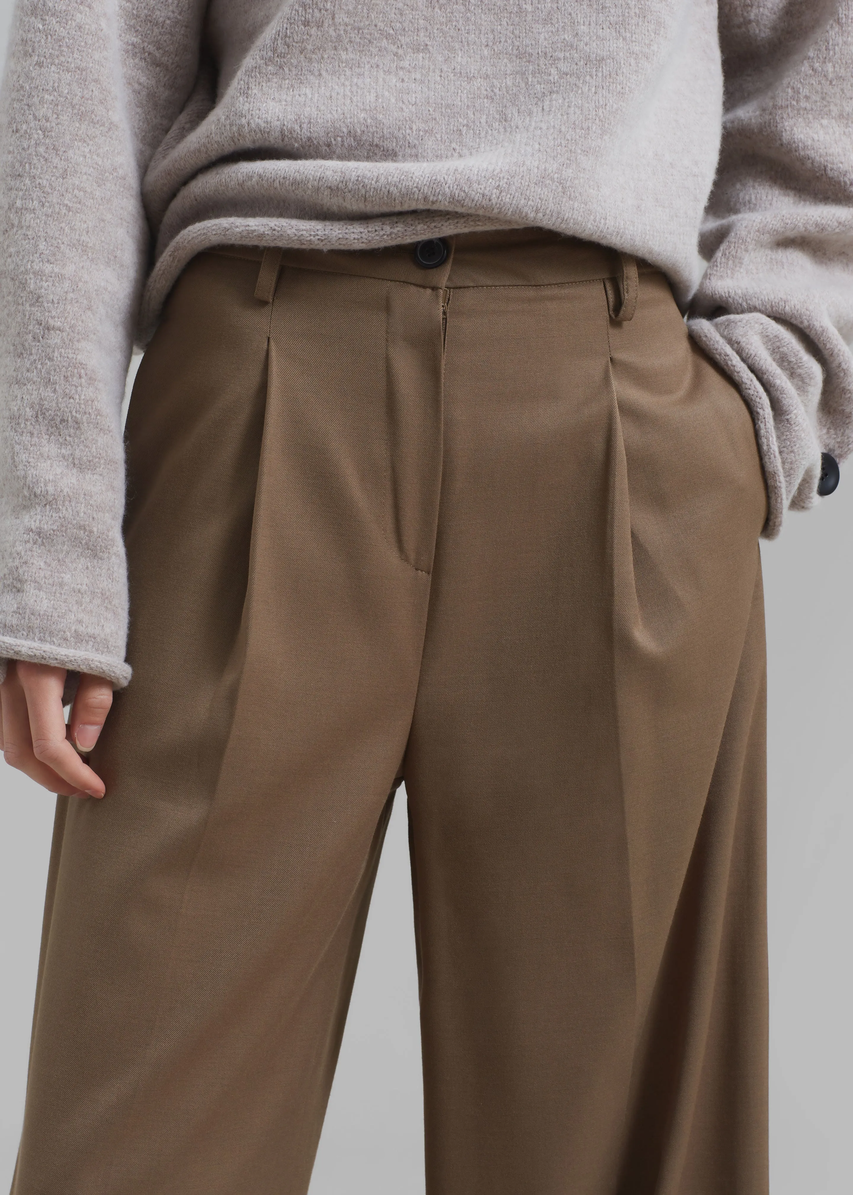 Dariel Pleated Trousers - Taupe sold by Frankie Shop product image thumbnail 4