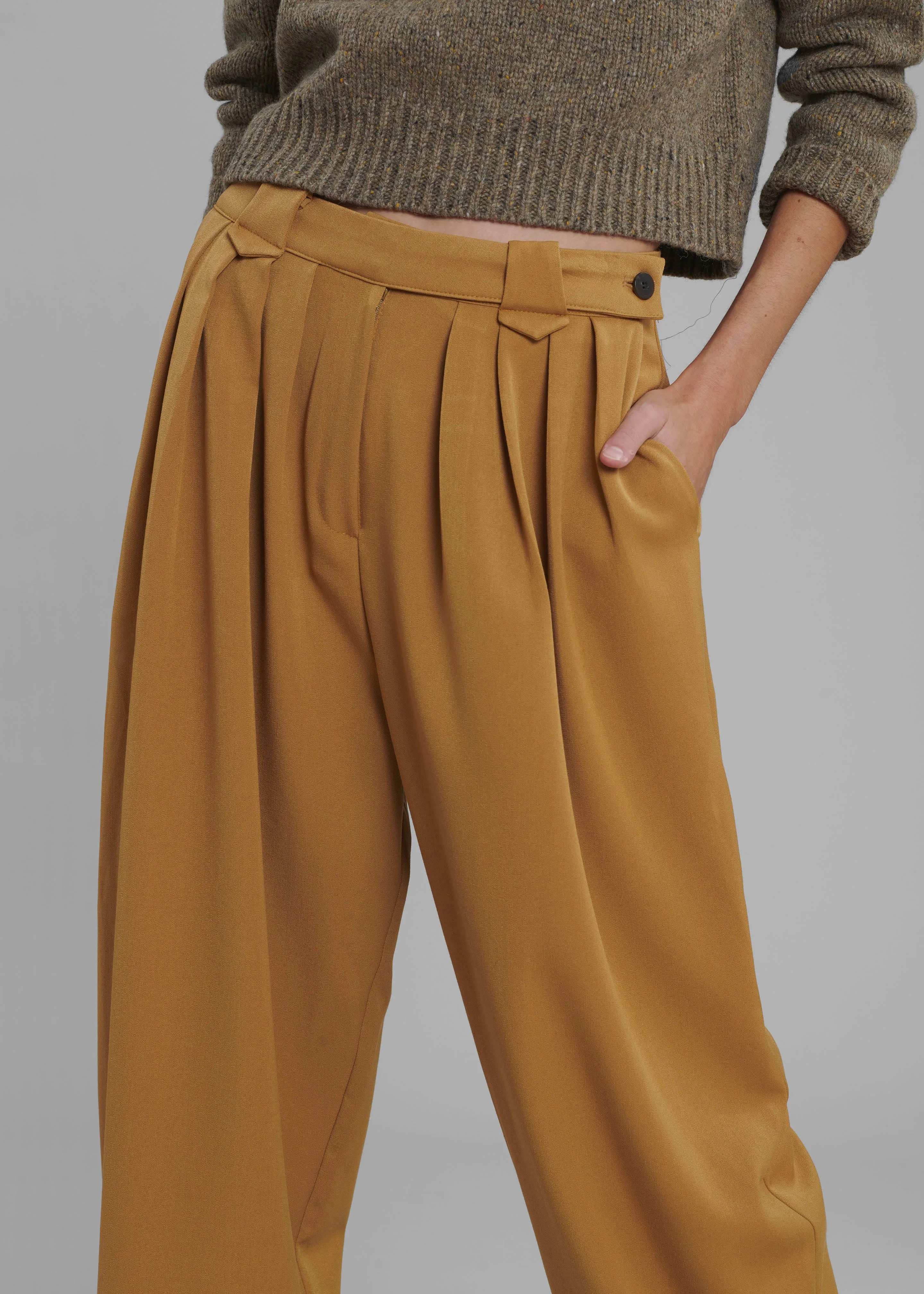 Luce Pleated Pants - Ginger sold by Frankie Shop product image thumbnail 2