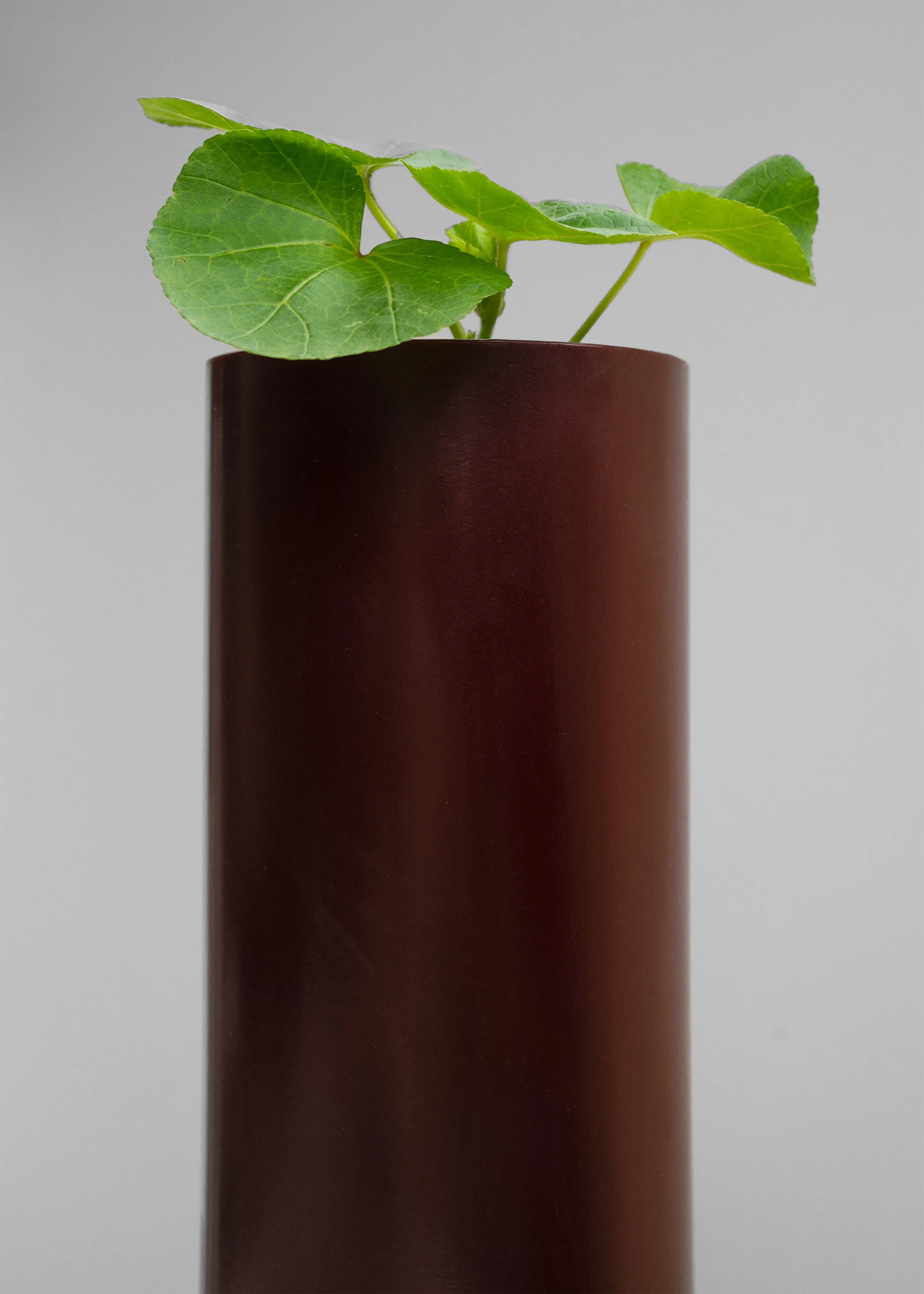 Ann Vincent Cave Vase - Burgundy sold by Frankie Shop product image thumbnail 3