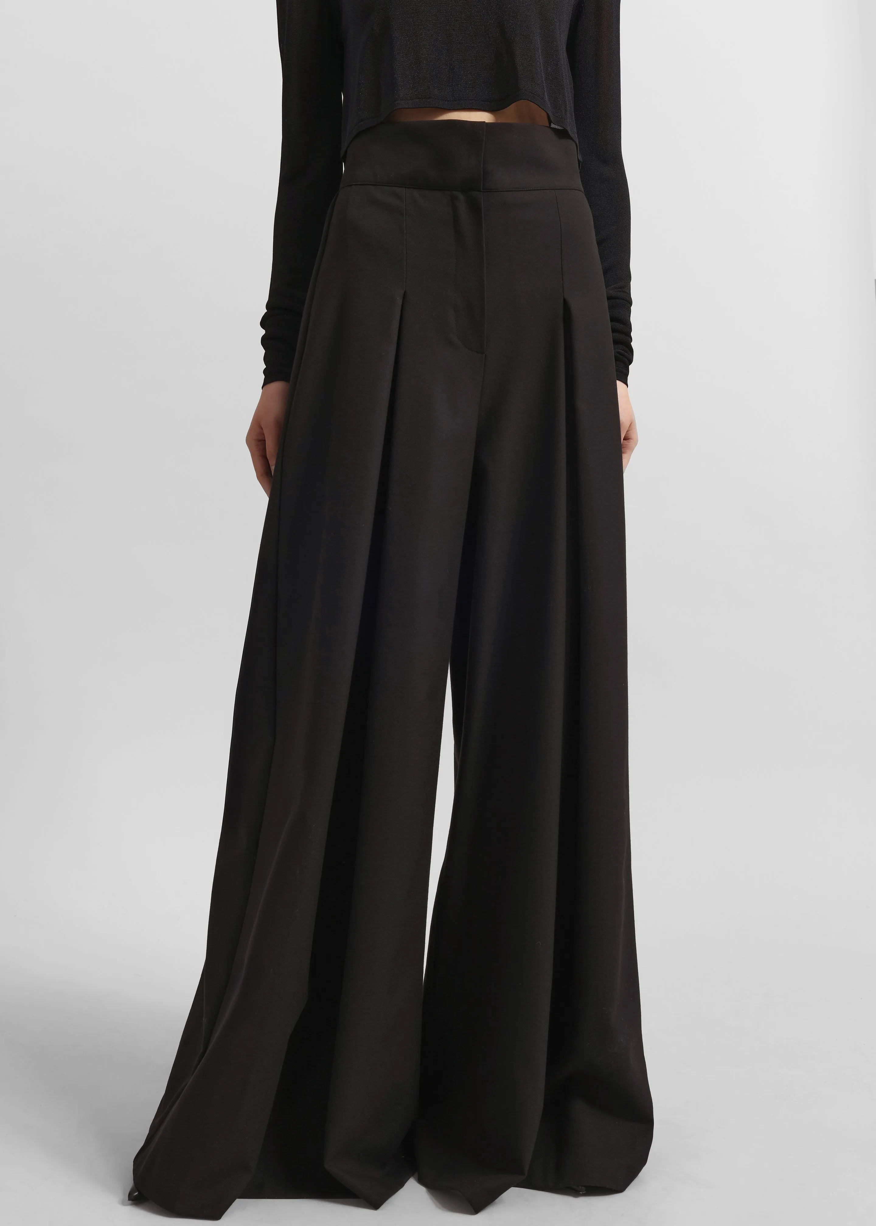 Hemer Pleated Wide Leg Trousers - Black sold by Frankie Shop product image thumbnail 2