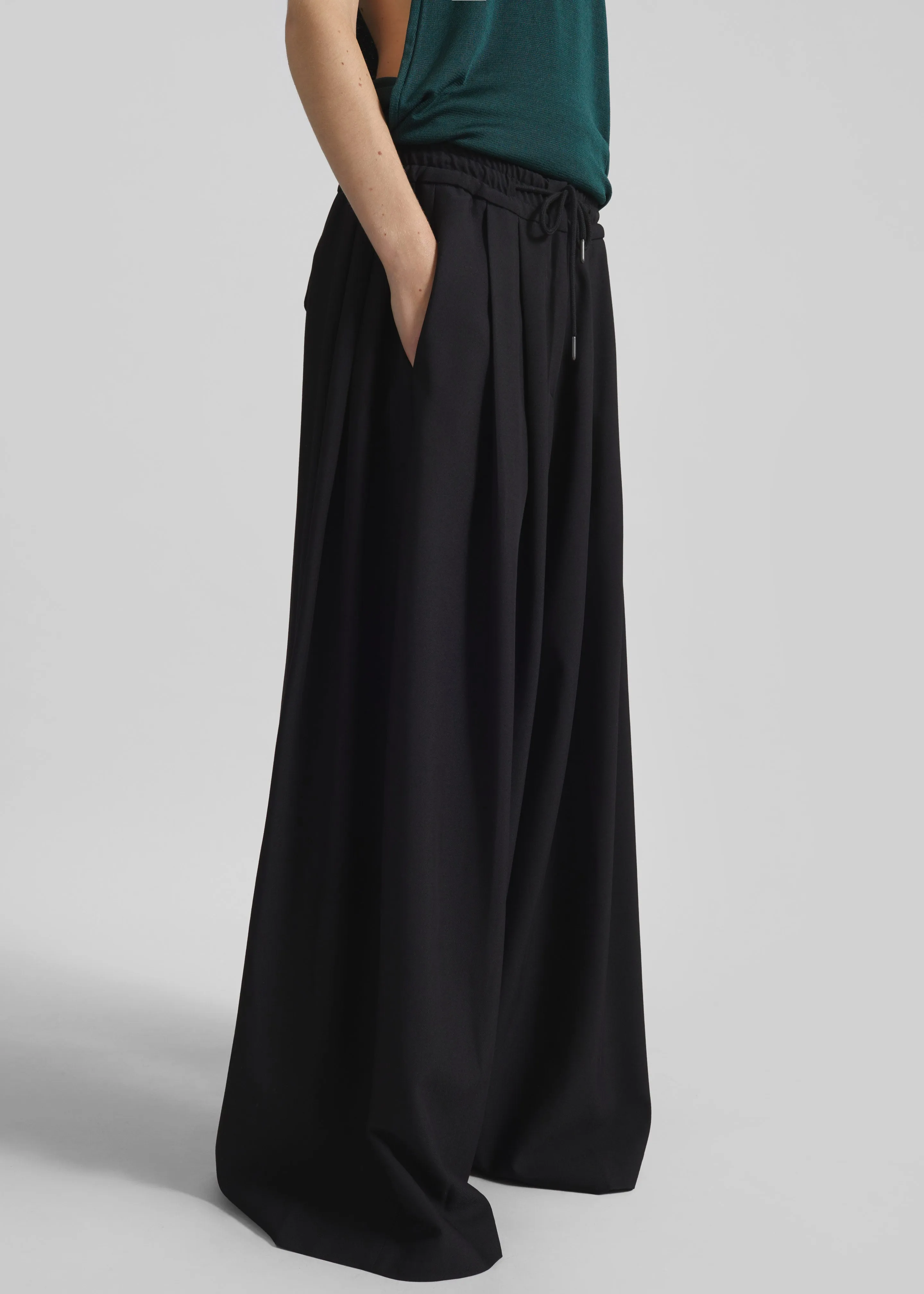 Corlen Pleated Wide Pants - Black sold by Frankie Shop product image thumbnail 5