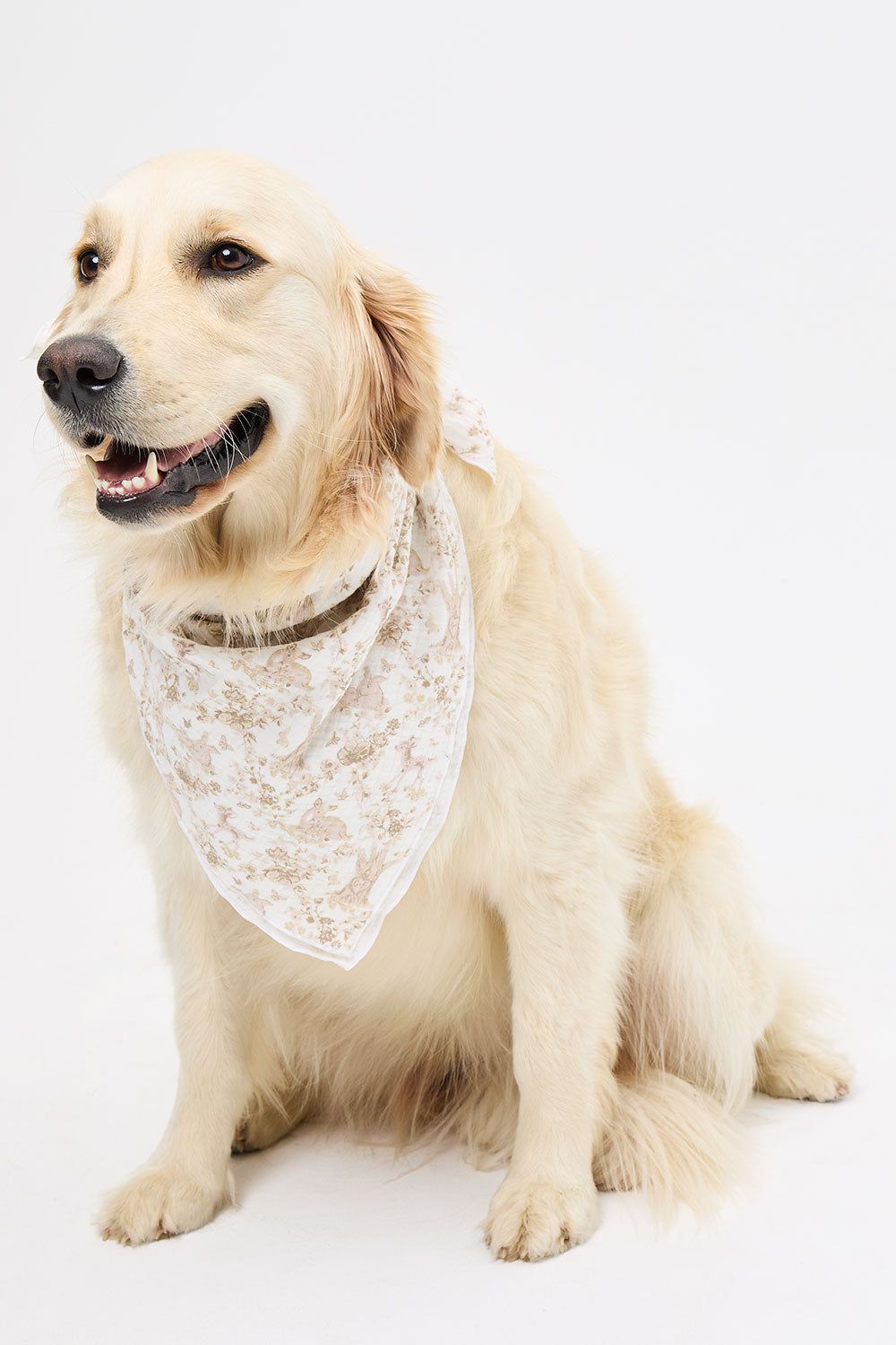 x GIGI HADID Heidi Head Scarf - Yomi Toile Tan sold by Frankie's Bikinis product image thumbnail 4