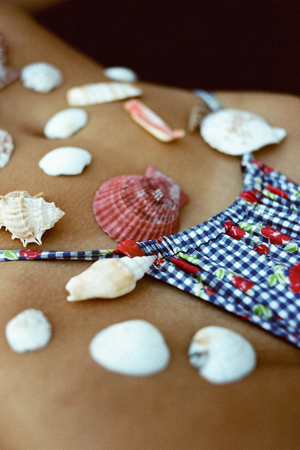 x GUIZIO Tia Floral Skimpy Bikini Bottom - Rose Gingham sold by Frankie's Bikinis product image thumbnail 2