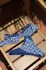 Dove Bikini Bottom - Starry Gingham sold by Frankie's Bikinis