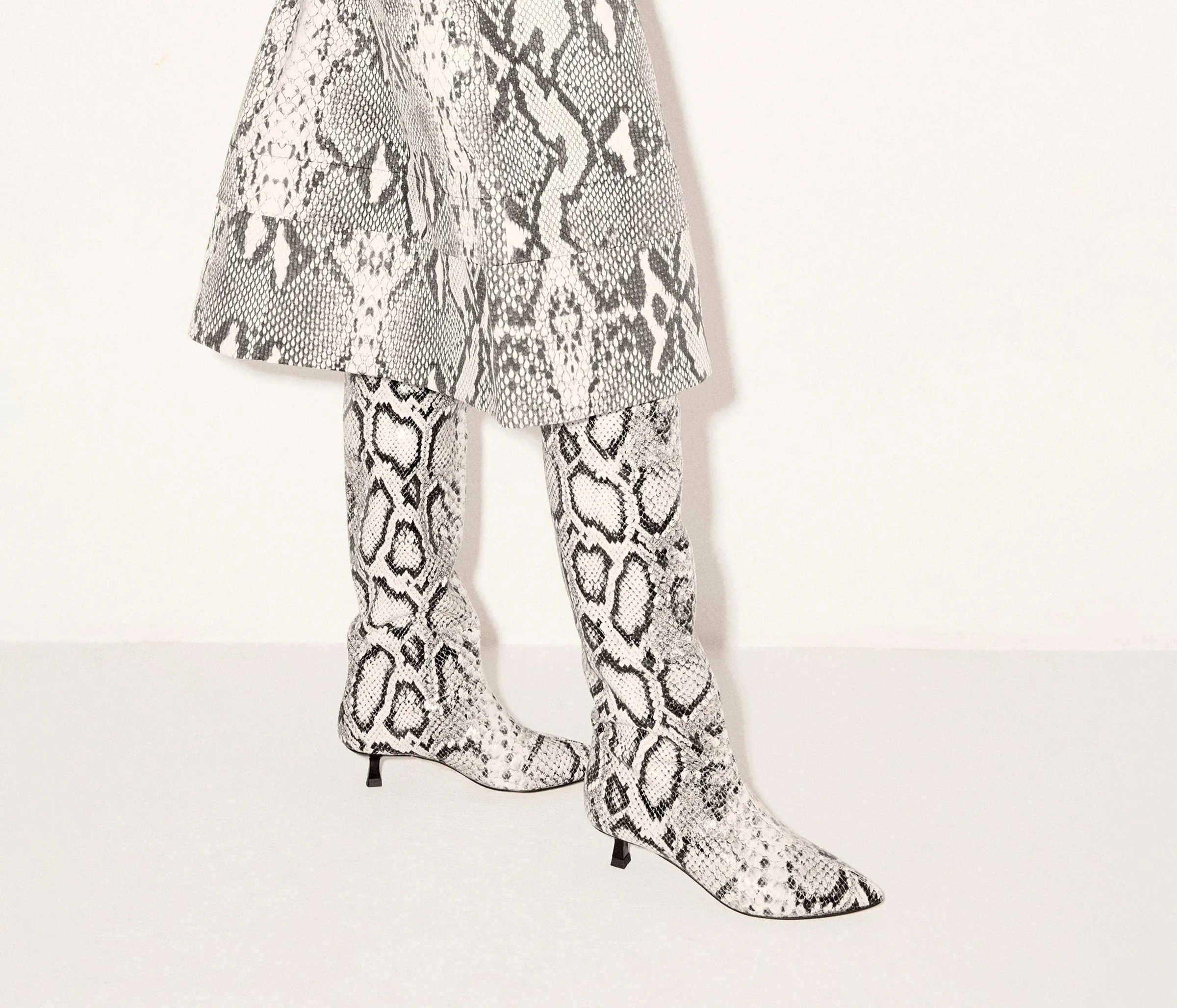 ROBYN TALL BOOT sold by Freda Salvador product image thumbnail 2