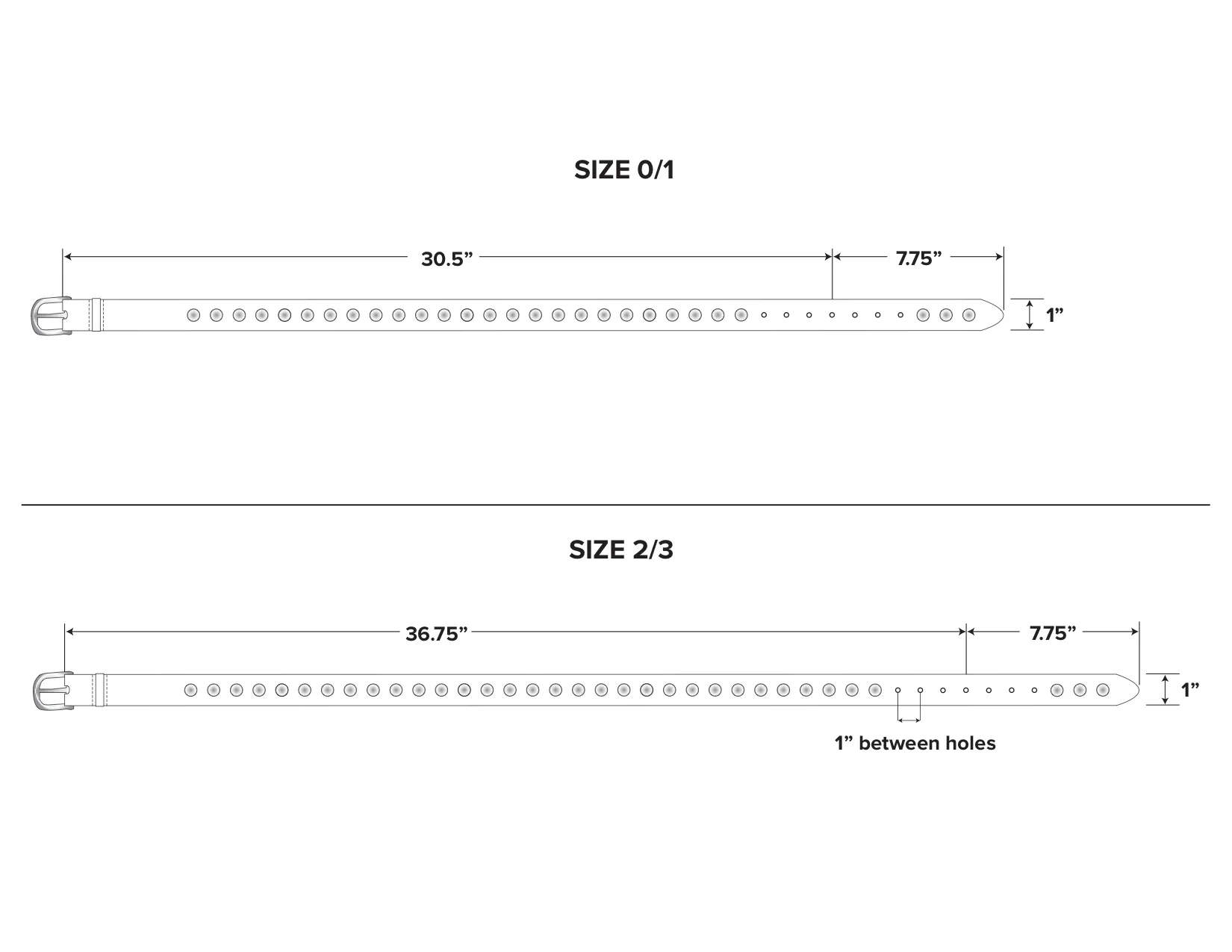 REBECCA BELT sold by Freda Salvador product image thumbnail 3