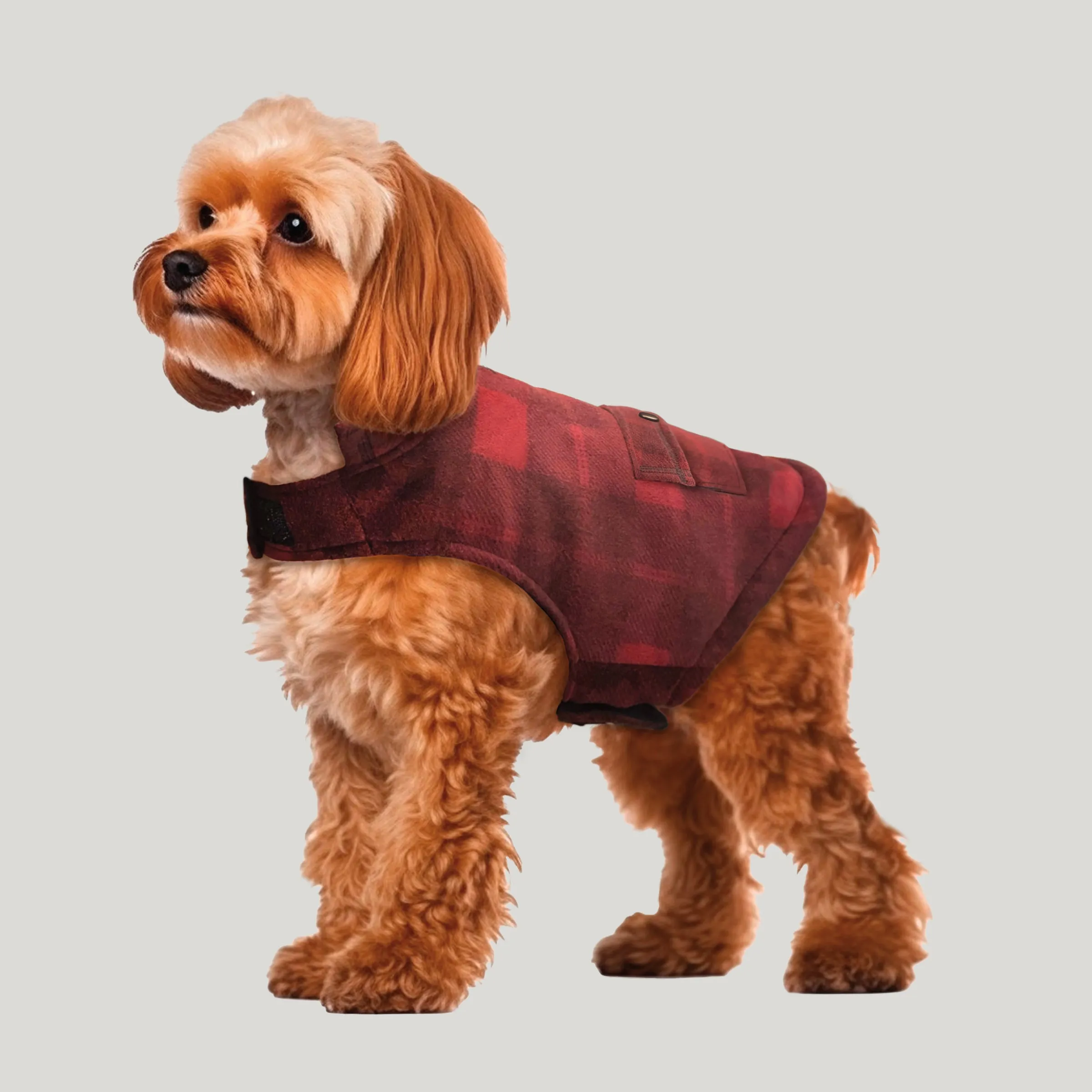 Chill Out Fleece Sherpa Lined Dog Jacket sold by Free Country