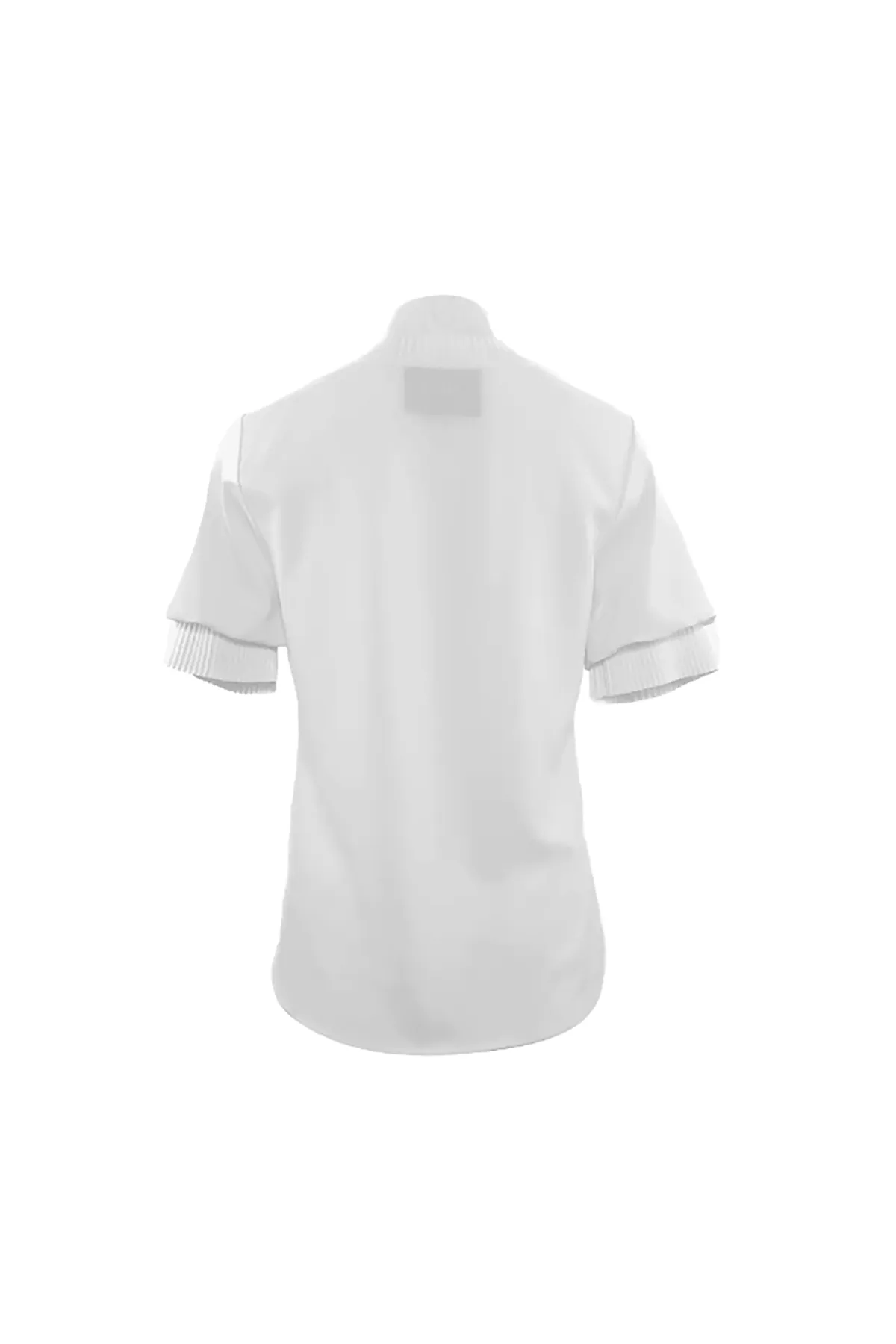 Dione Pleated Neck Short Sleeve Top sold by French Cuff product image thumbnail 2