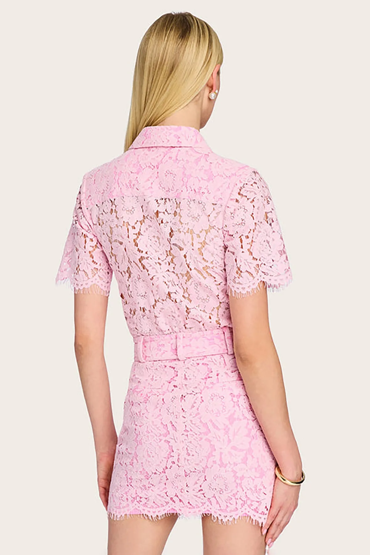 Morgana Lace Dress sold by French Cuff product image thumbnail 3