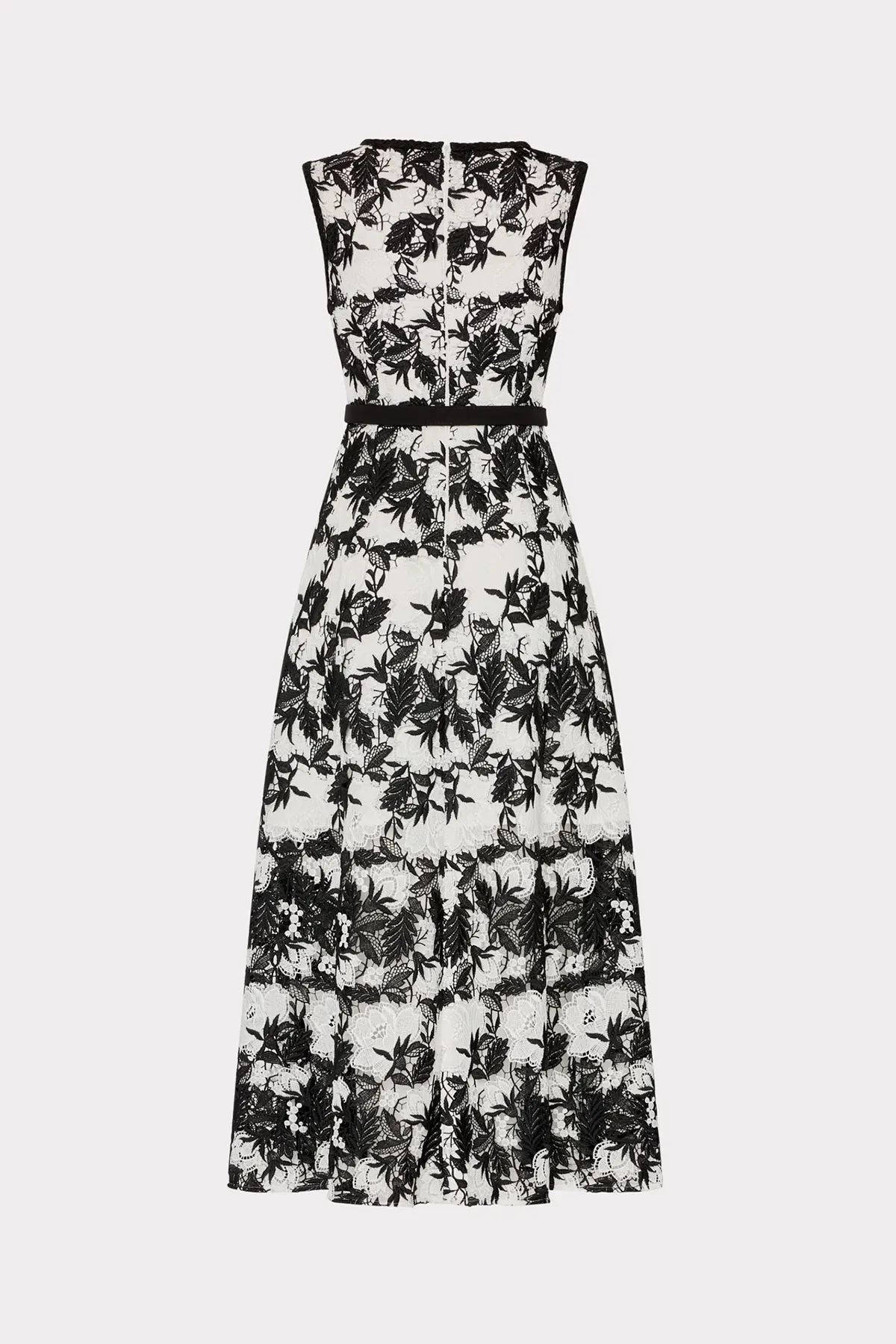 Paloma Two Tone Lace Dress sold by French Cuff product image thumbnail 3