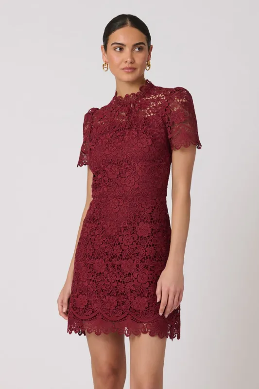 Ella Dress sold by French Cuff