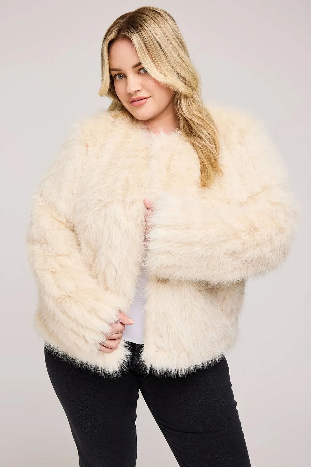 Uma sold by French Cuff product image thumbnail 2