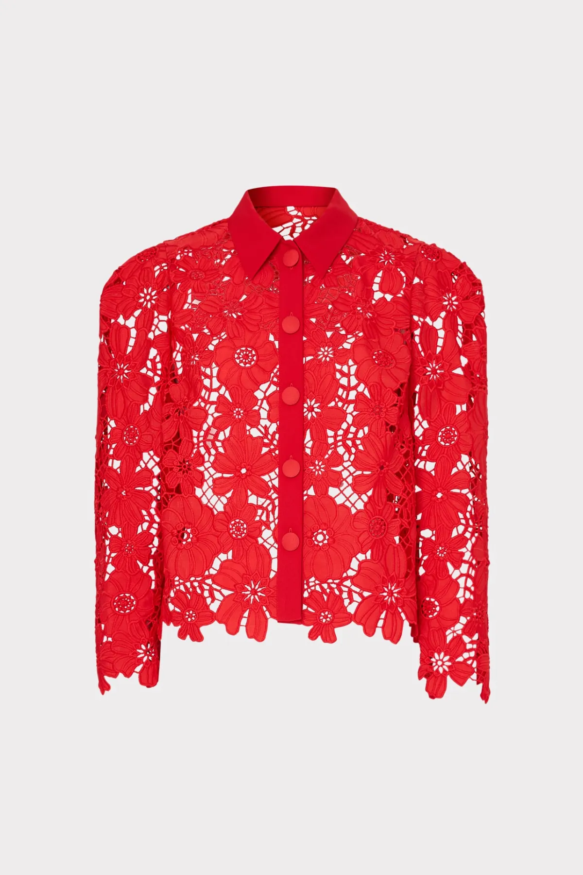 June Roja Lace Top sold by French Cuff