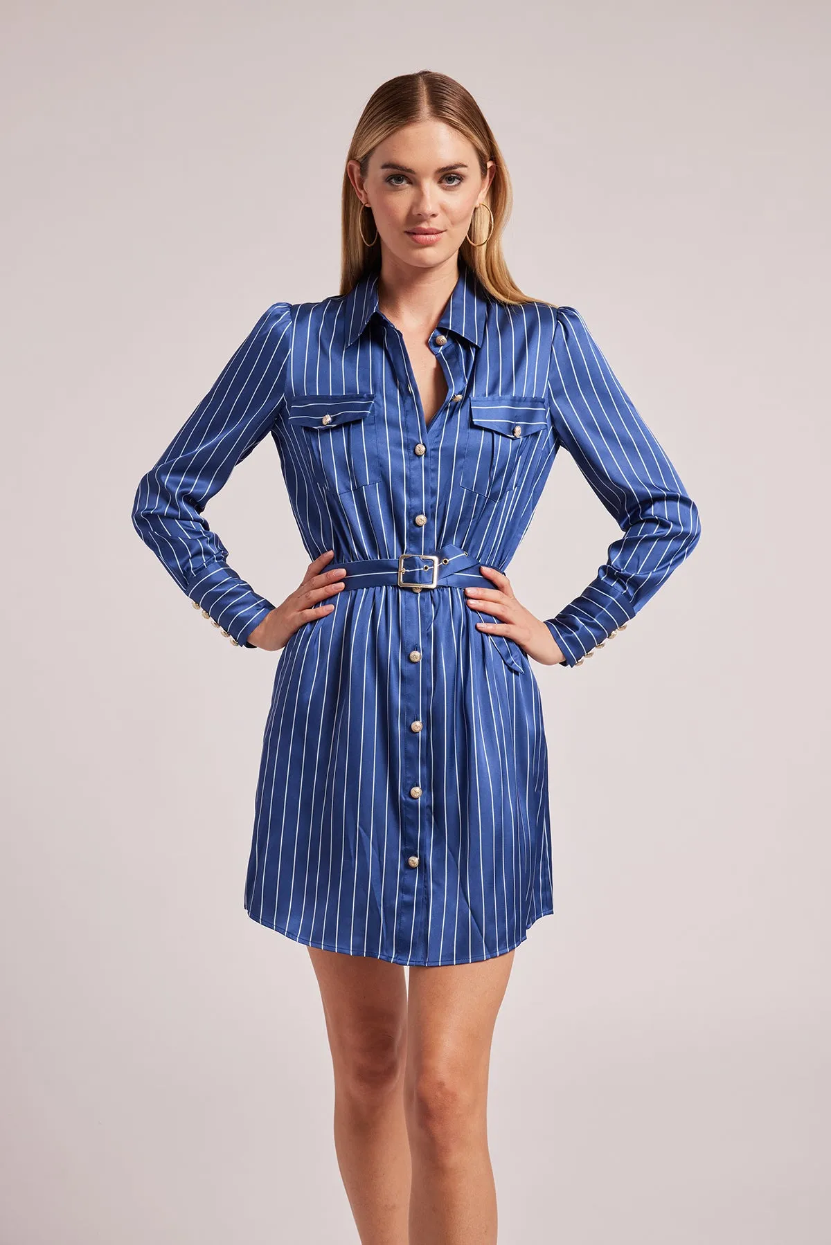 Darcelle Pinstripe Shirt Dress sold by French Cuff