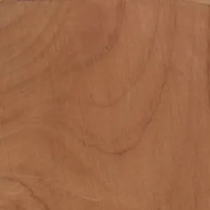 Shoe Tree sold by G.H. Bass & Co. product image thumbnail 2