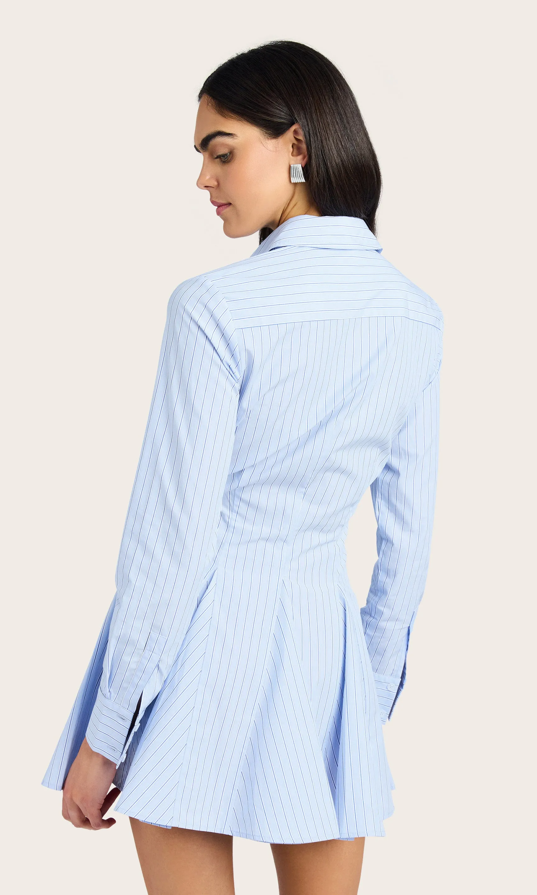 Clemente Pinstripe Poplin Dress sold by Generation Love product image thumbnail 5