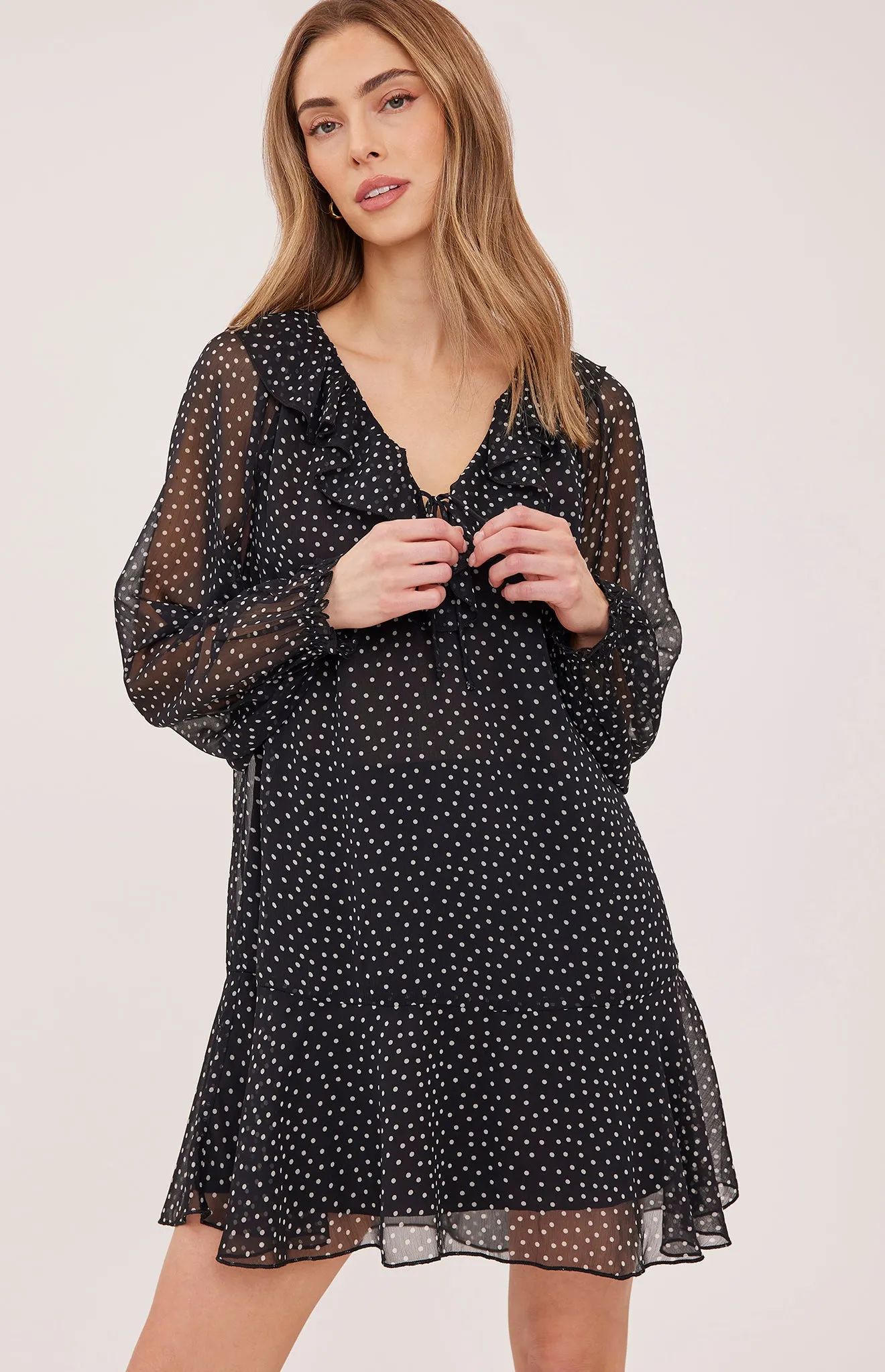 Esmeralda Mini Dress sold by Gentle Fawn product image thumbnail 3