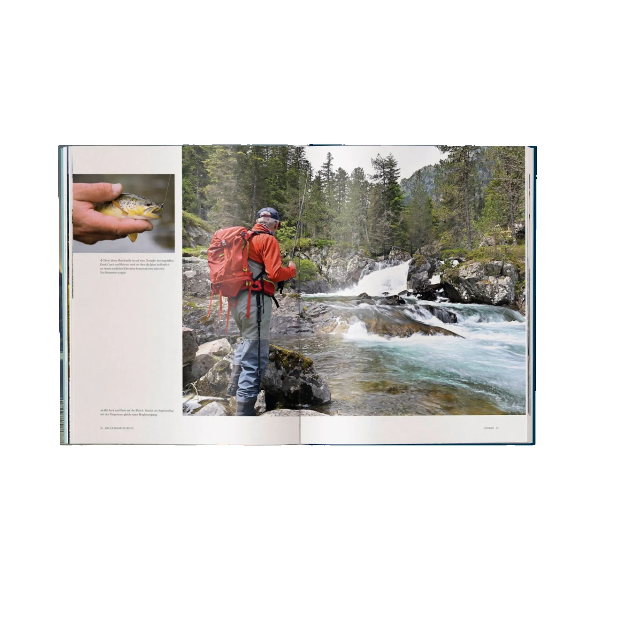 Angeln sold by Gestalten product image thumbnail 4