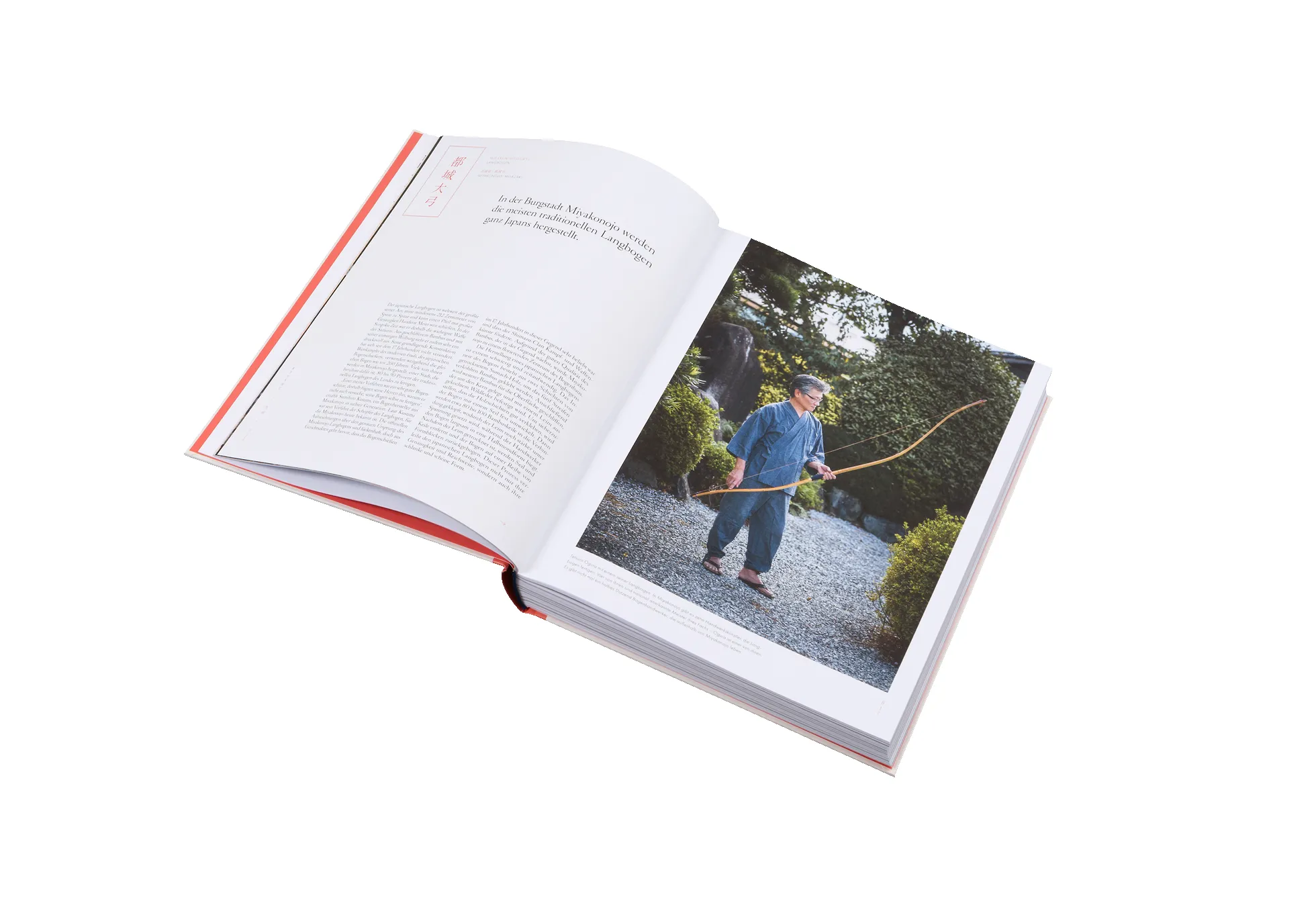 Das Streben nach Vollkommenheit sold by Gestalten product image thumbnail 5