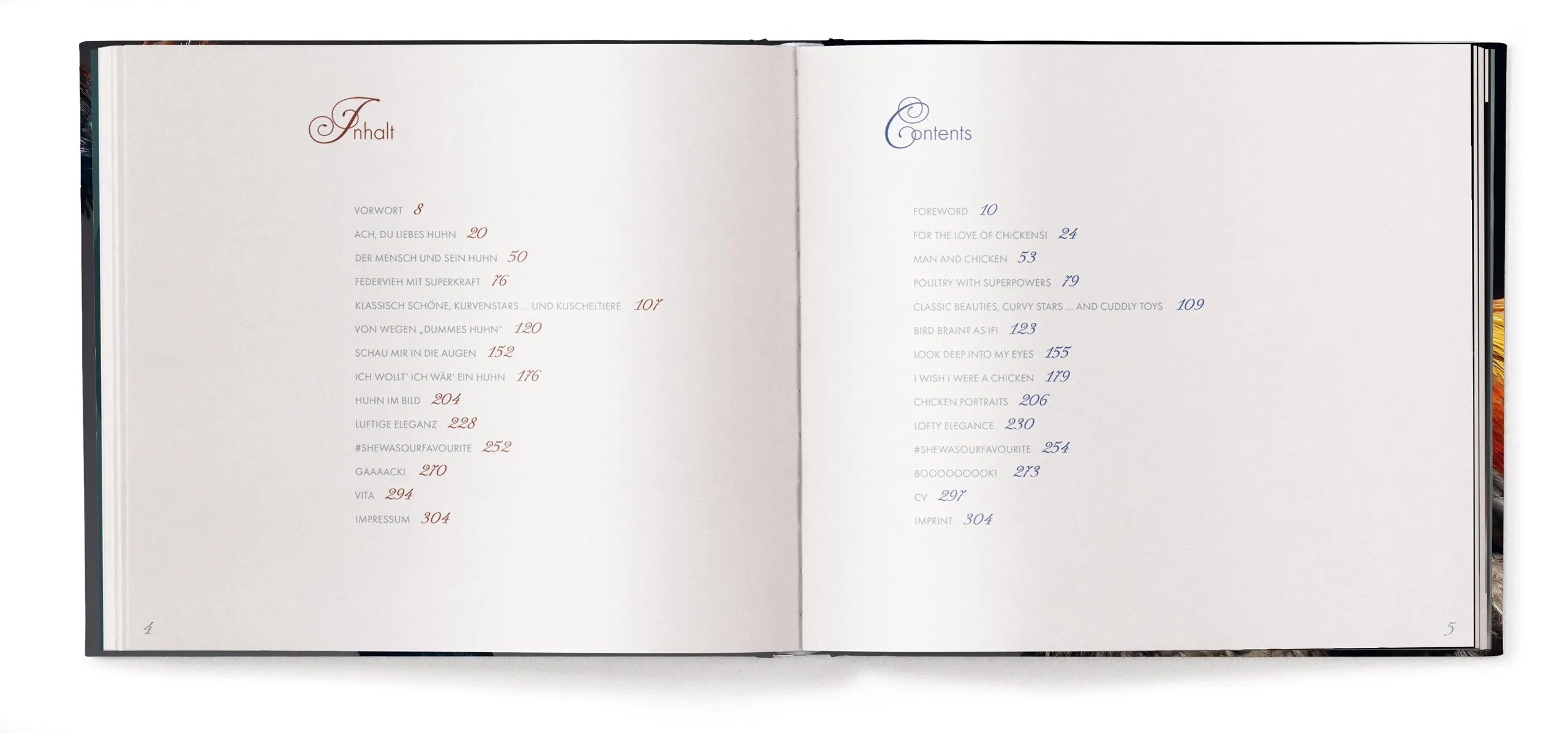 Gefiederte Eleganz sold by Gestalten product image thumbnail 3