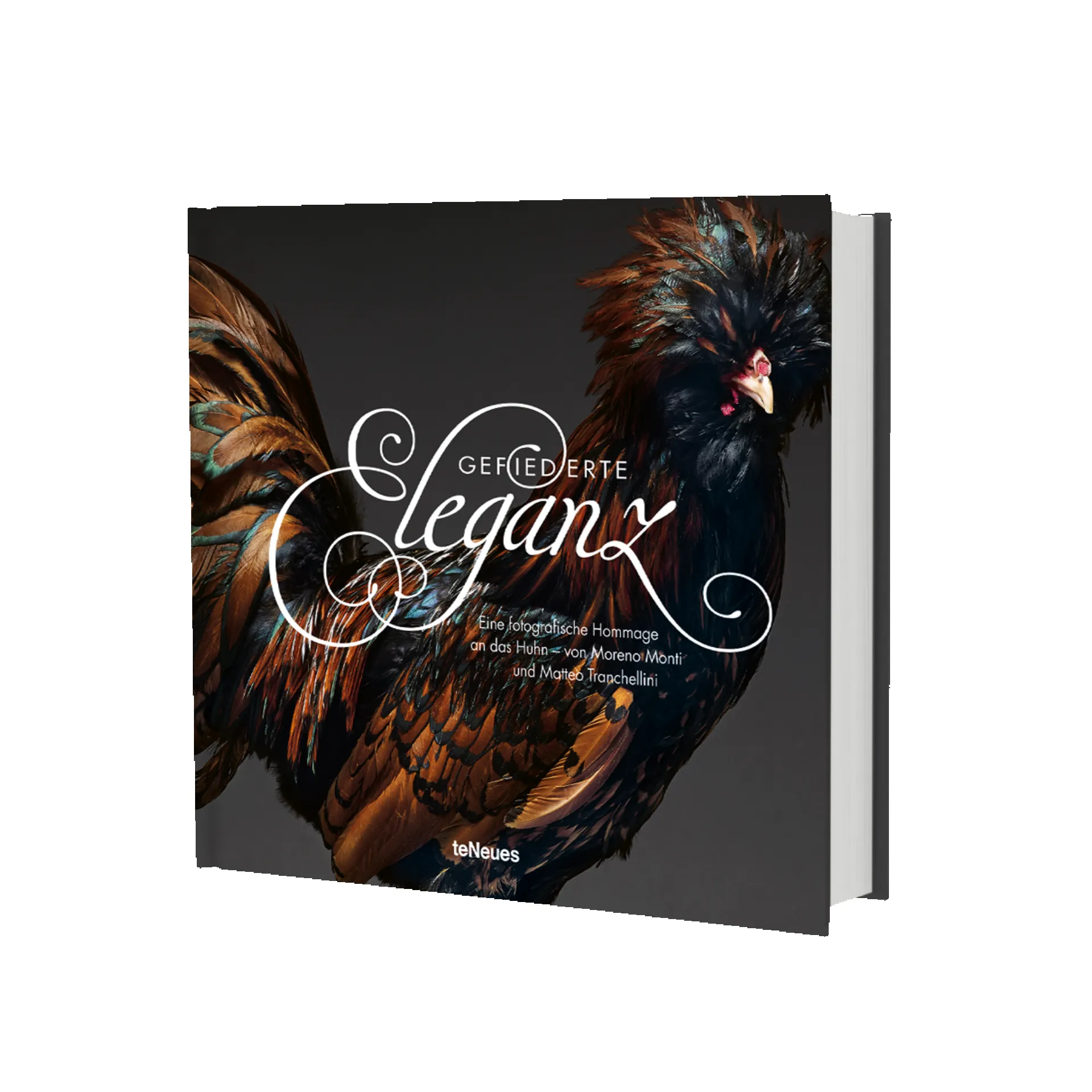 Gefiederte Eleganz sold by Gestalten product image thumbnail 2