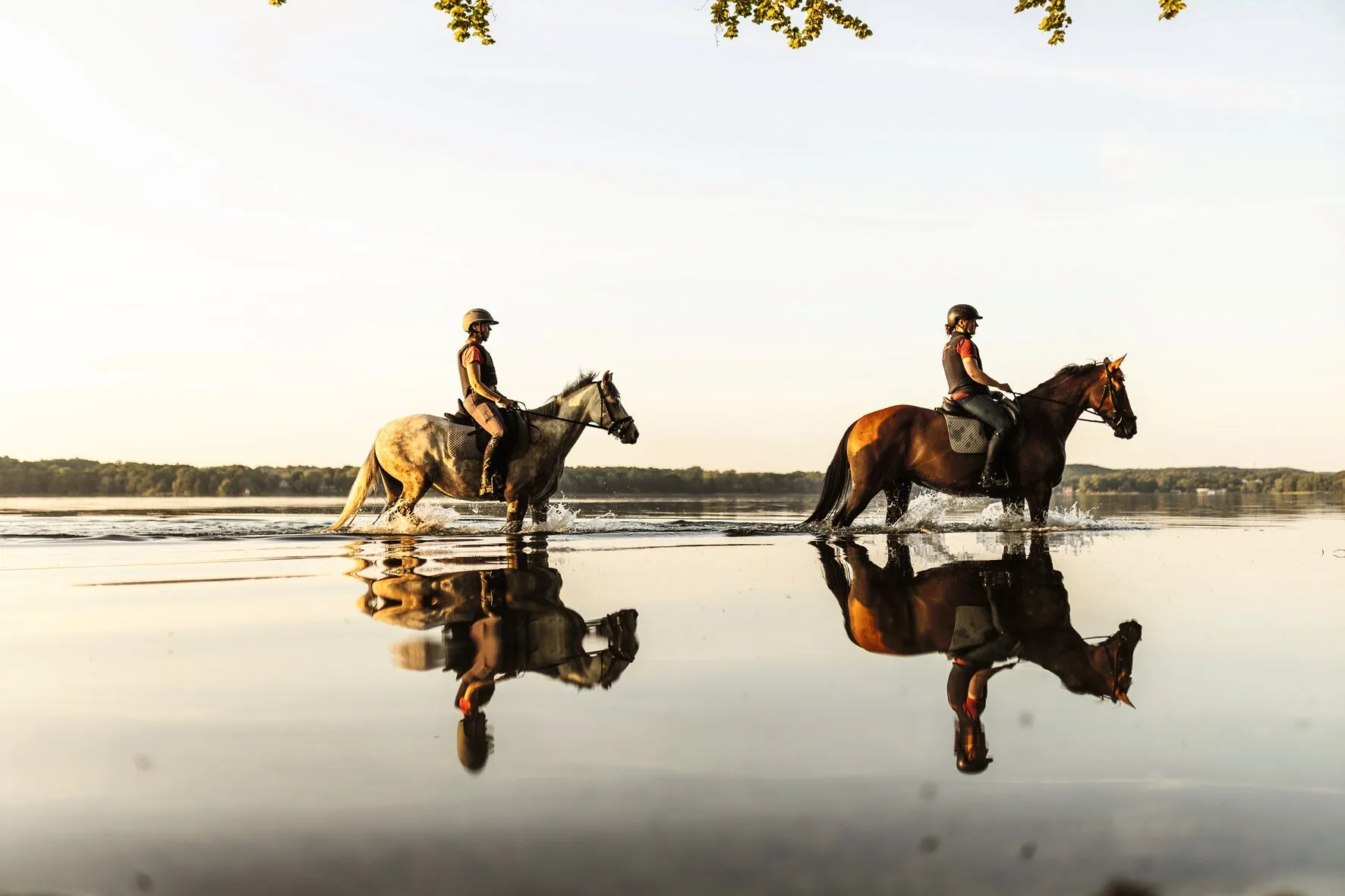 Reiten - Das ultimative Buch sold by Gestalten product image thumbnail 5