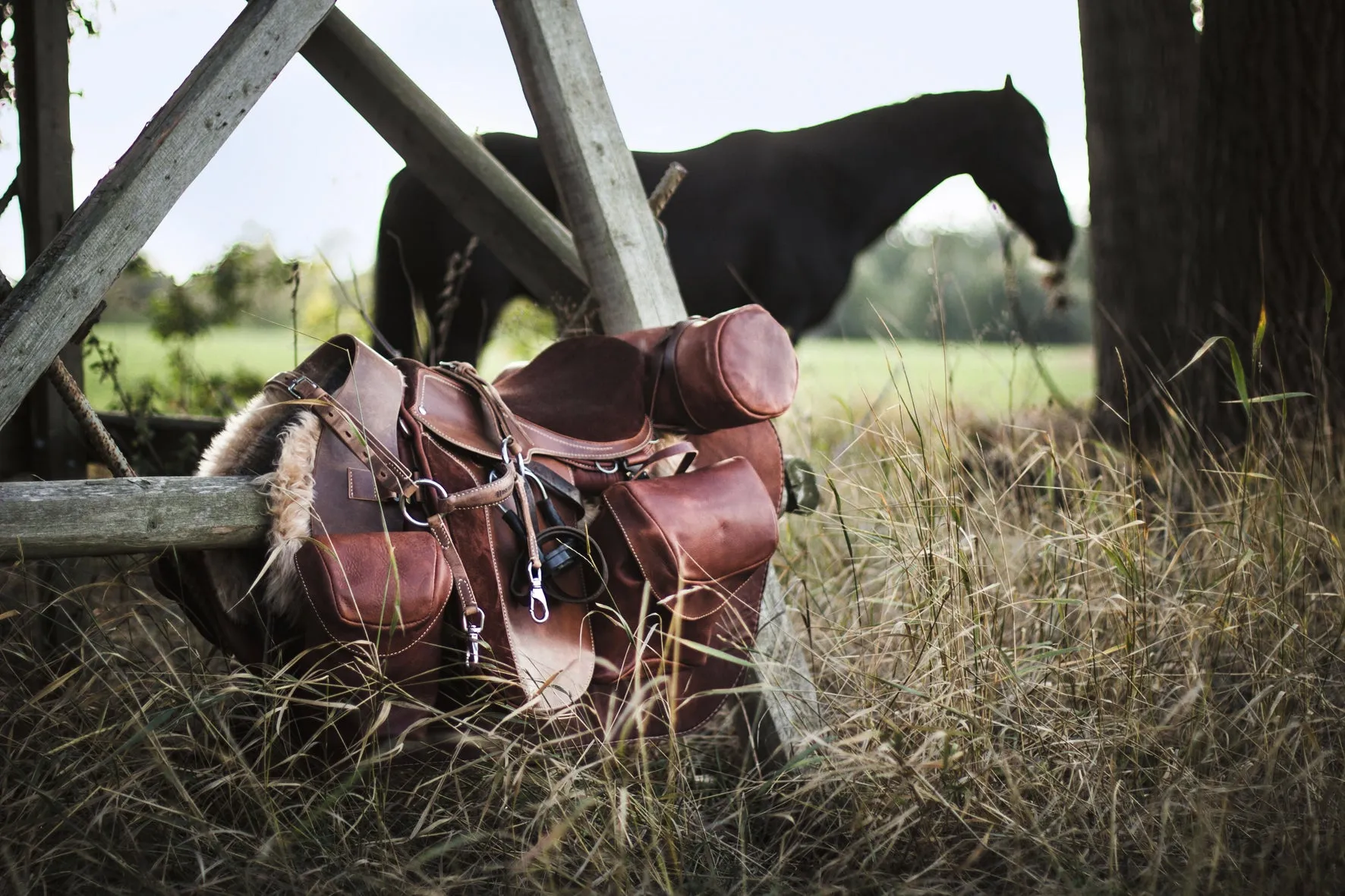 Reiten - Das ultimative Buch sold by Gestalten product image thumbnail 4