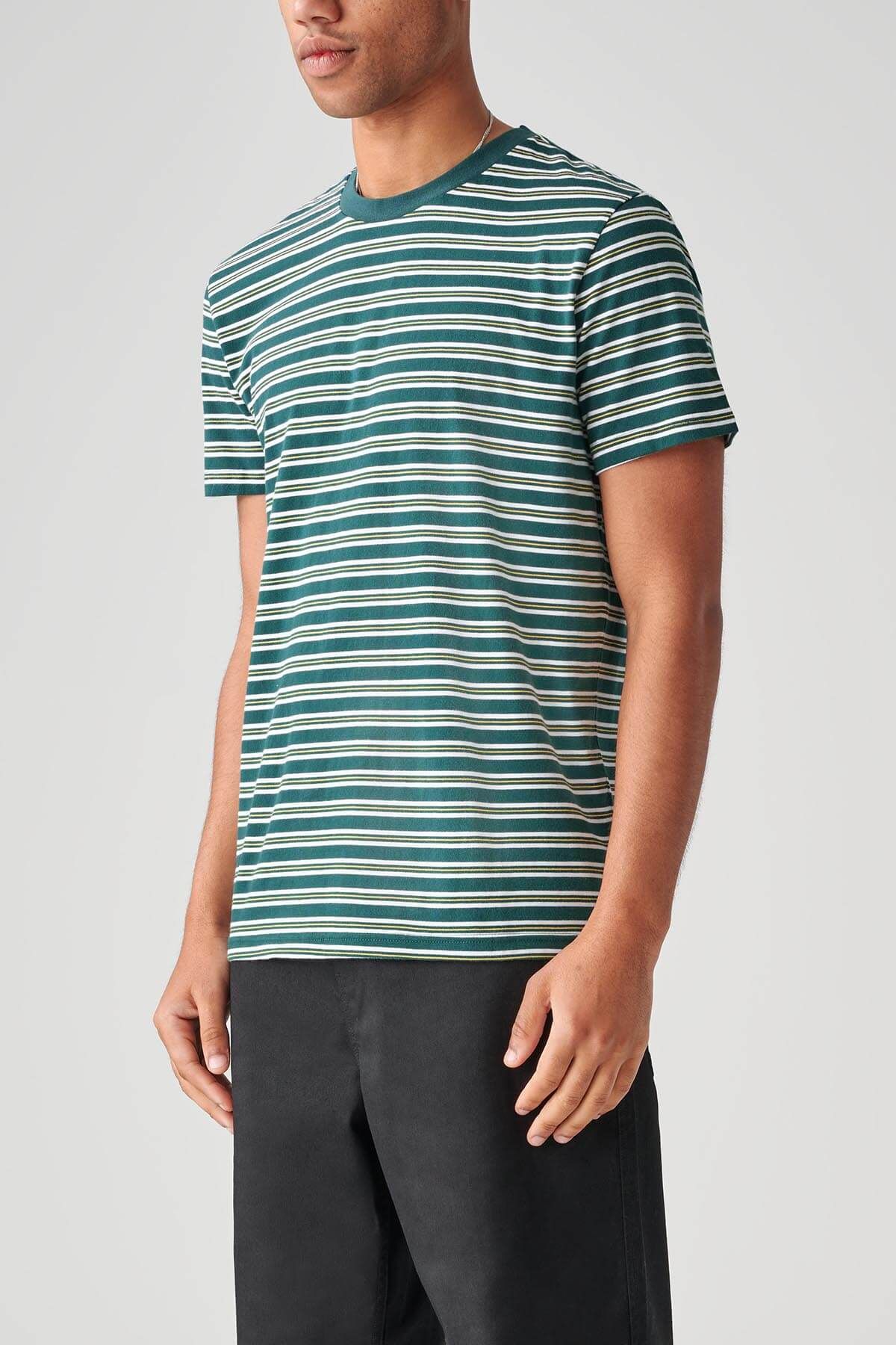 Stray Striped Tee - Night Green sold by Globe product image thumbnail 2
