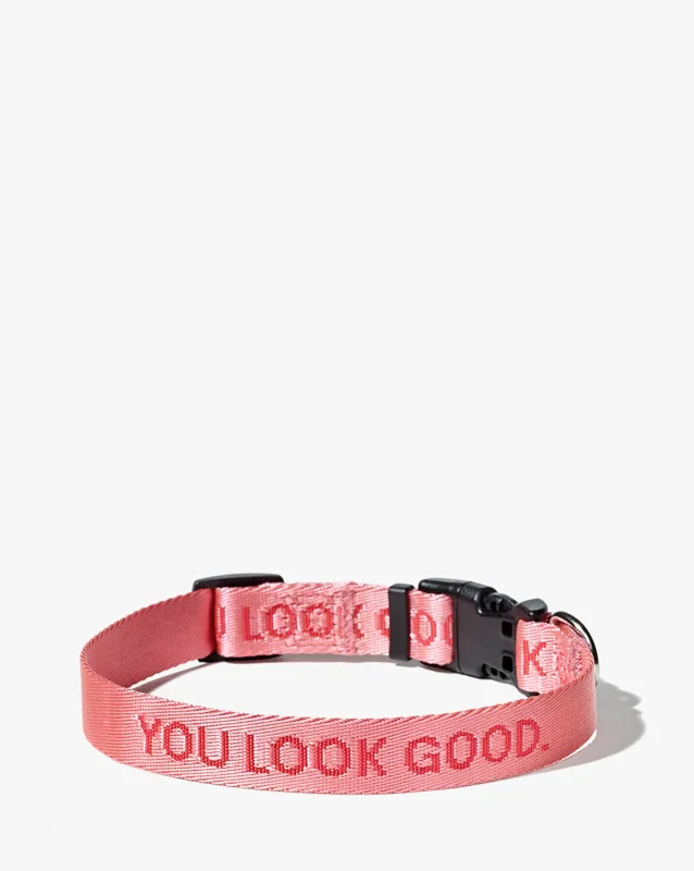You Look Good Collar made by Glossier