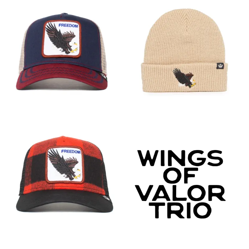 Wings Of Valor Trio sold by Goorin Bros
