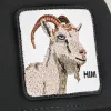 Mirage HIM sold by Goorin Bros