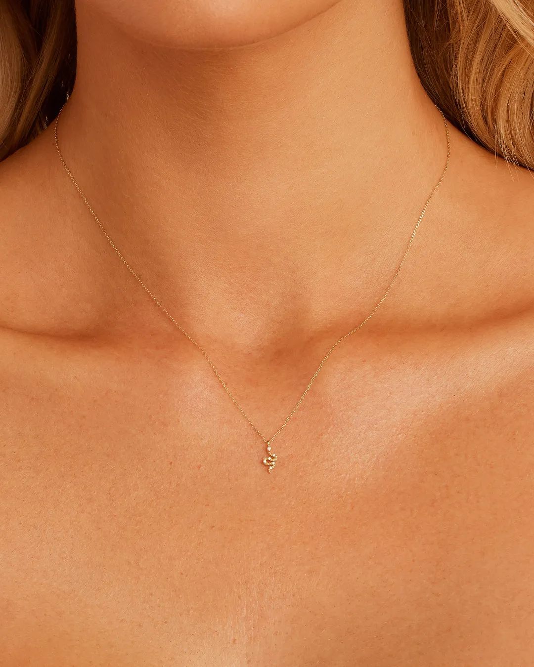 Diamond Snake Necklace sold by Gorjana product image thumbnail 2