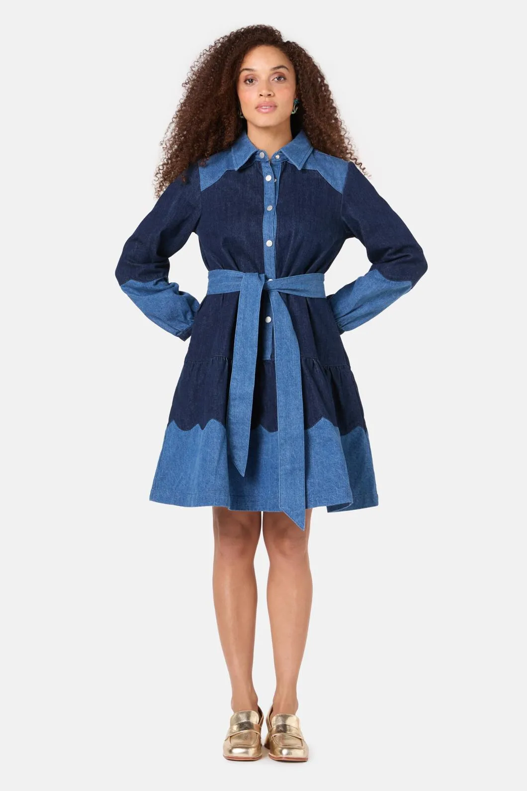 Picking Petals Denim Dress sold by gorman product image thumbnail 2