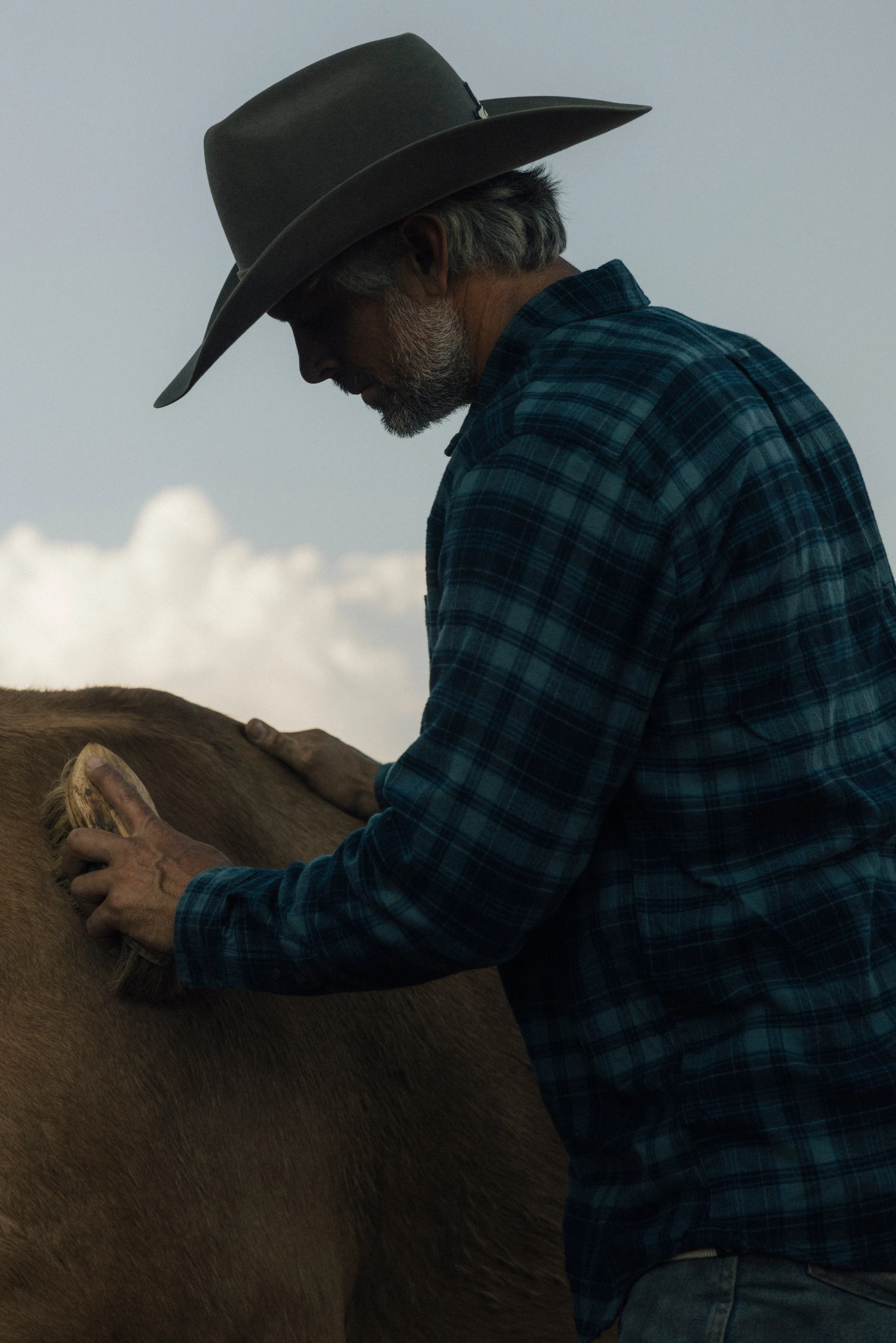 Shady Grove Stretch Flannel - Green Pine sold by Grayers product image thumbnail 3