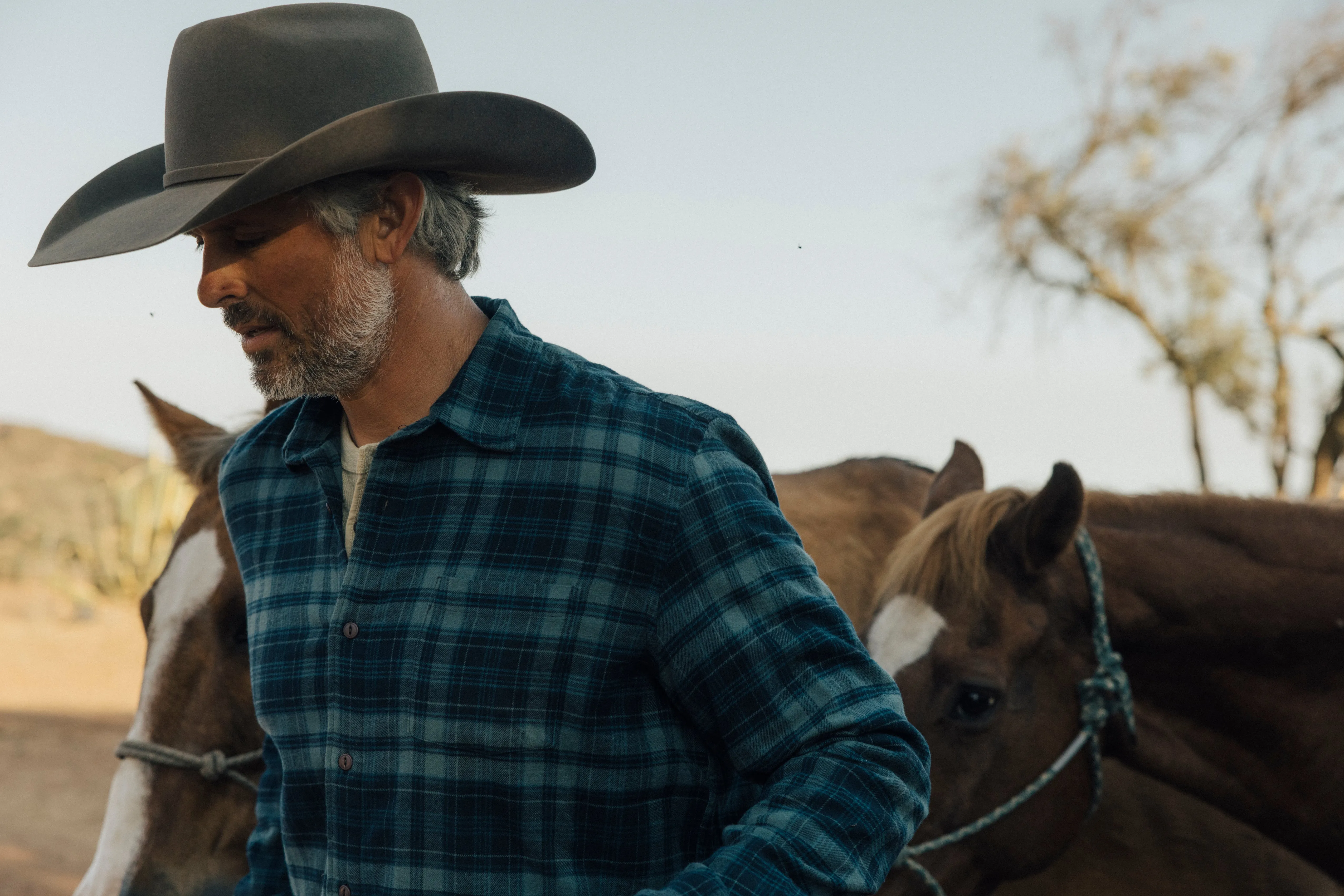 Shady Grove Stretch Flannel - Green Pine sold by Grayers product image thumbnail 4