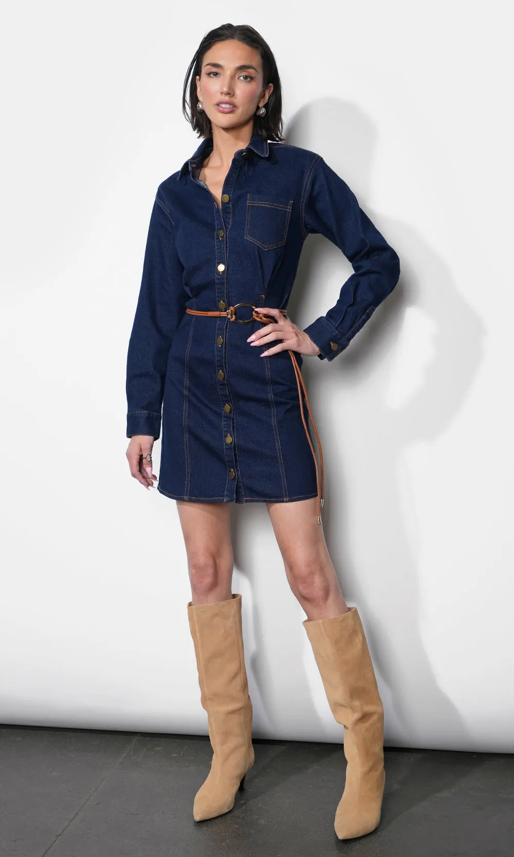 Calista Button Up Denim Mini Shirt Dress sold by Greylin product image thumbnail 5
