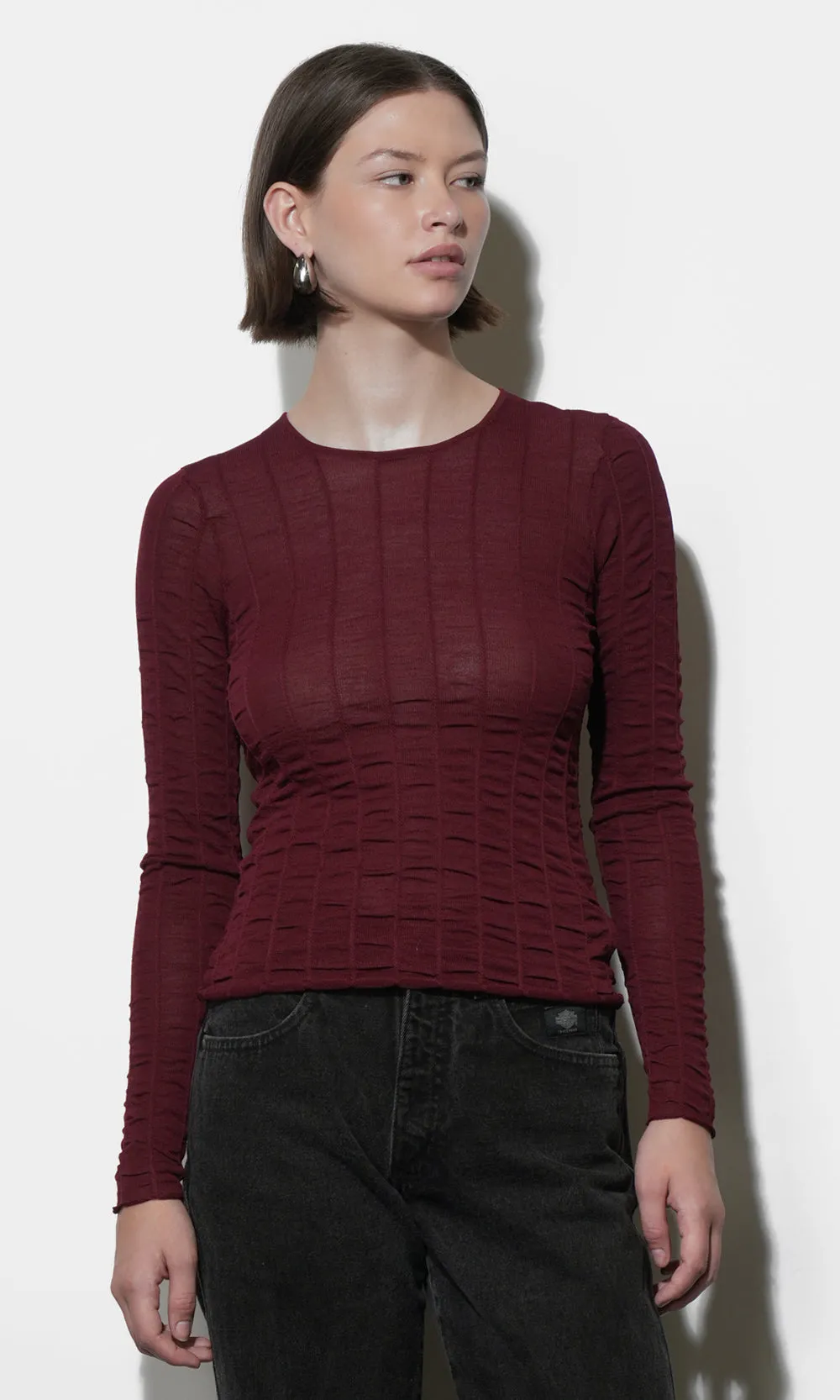 Freya Sheer Textured Mesh Long Sleeve Top sold by Greylin product image thumbnail 3