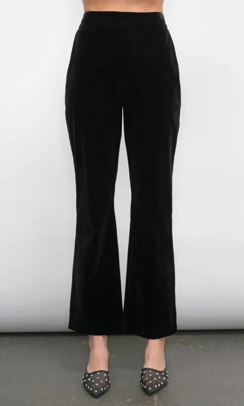 Milton Velvet Pant sold by Greylin