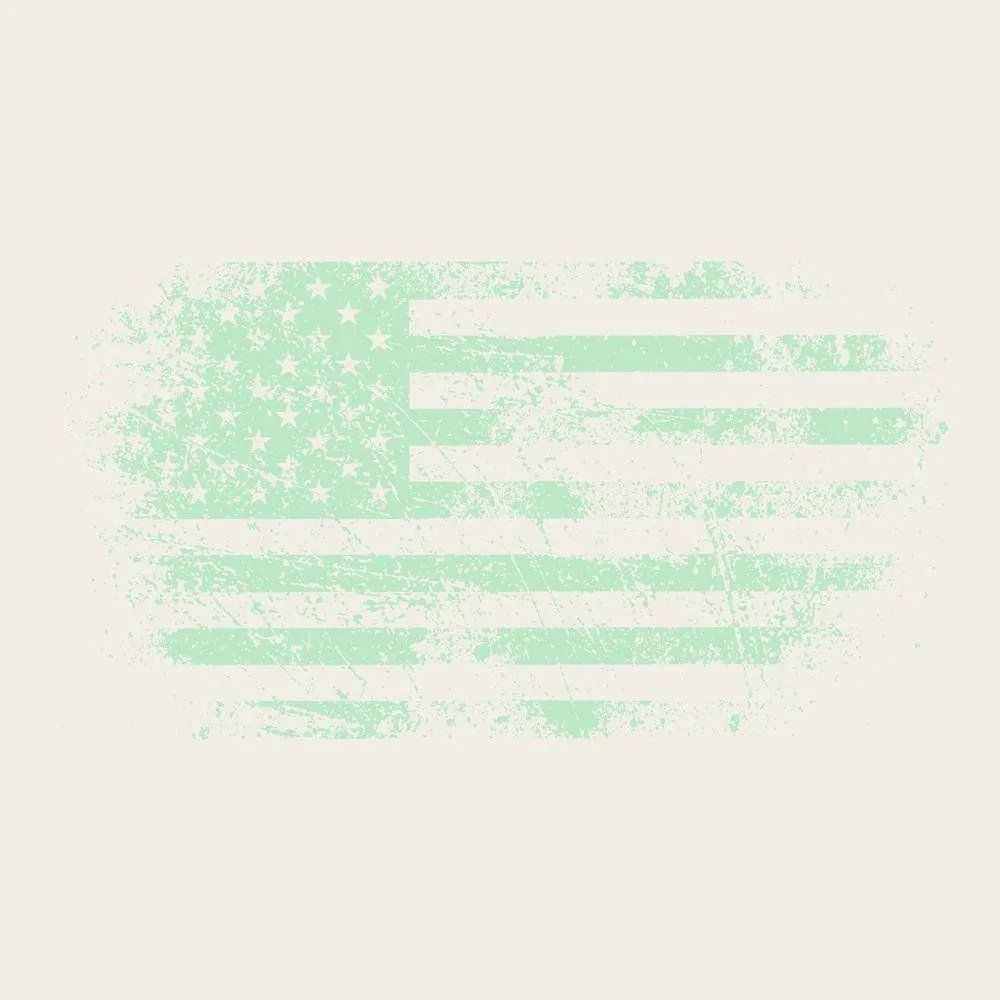 Women's Vintage American Flag Cropped T-Shirt - Natural sold by Grunt Style product image thumbnail 3